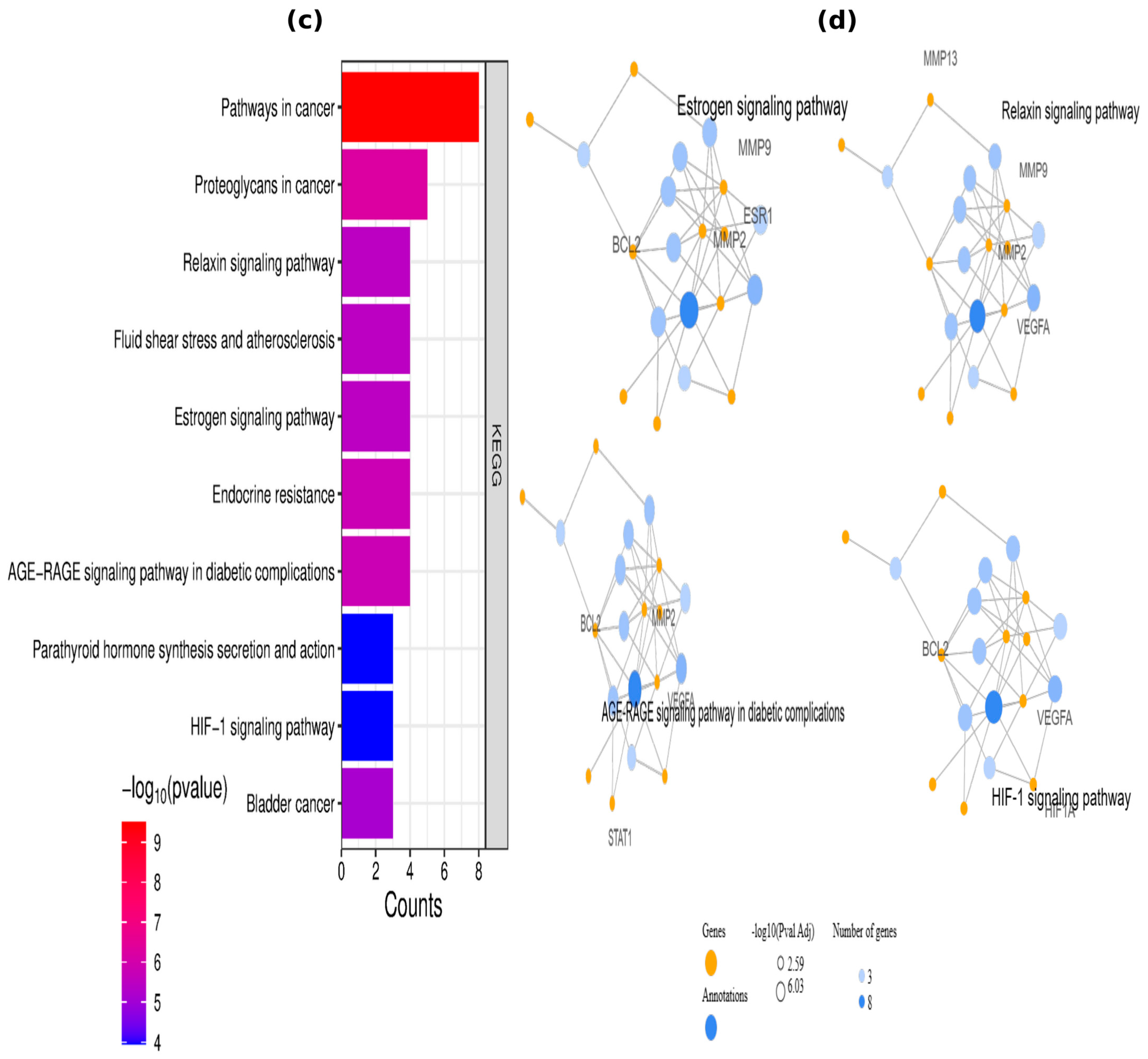 Ijms 26 09144 g003b Ijms 26 09144 g003b