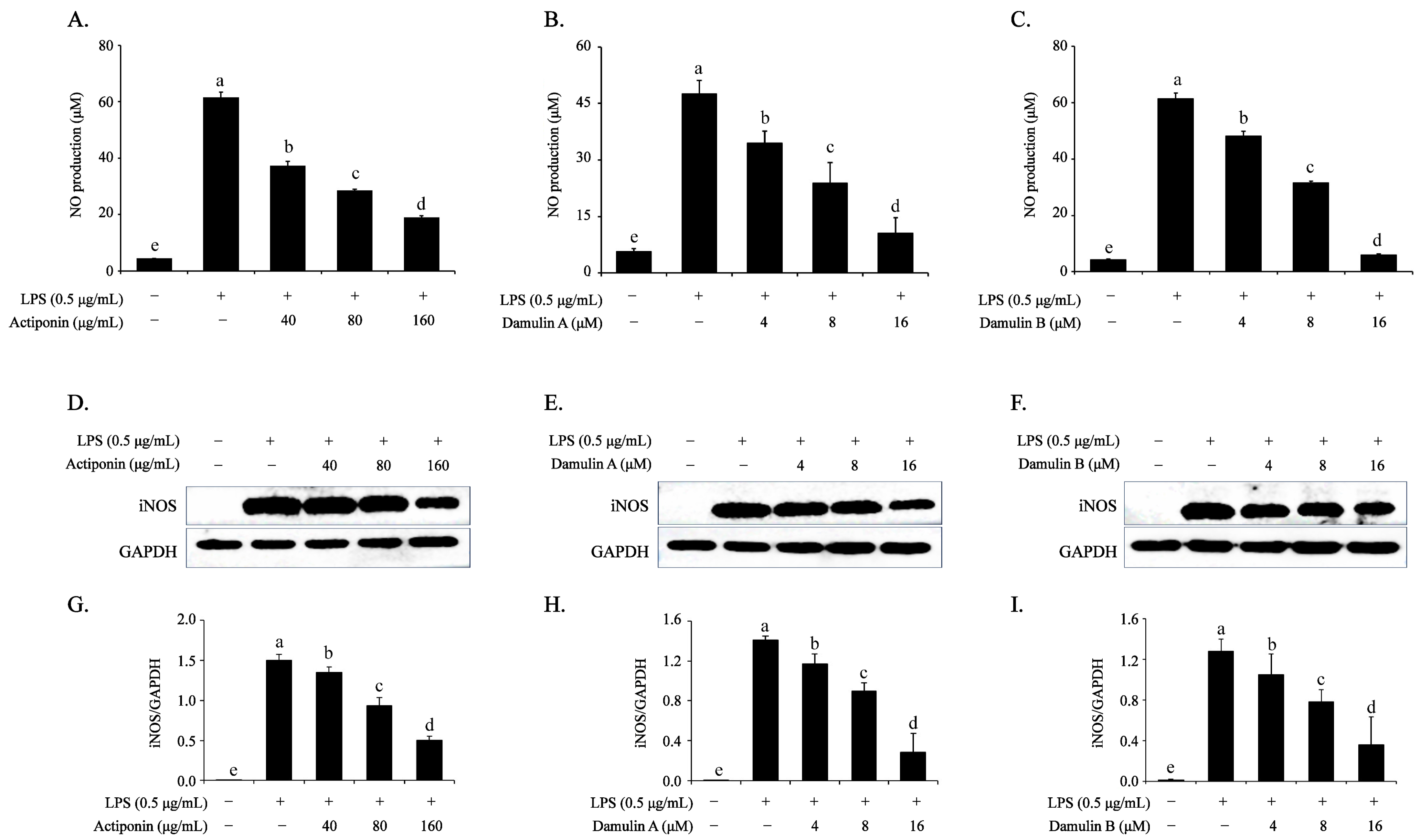 Ijms 26 09145 g002 Ijms 26 09145 g002