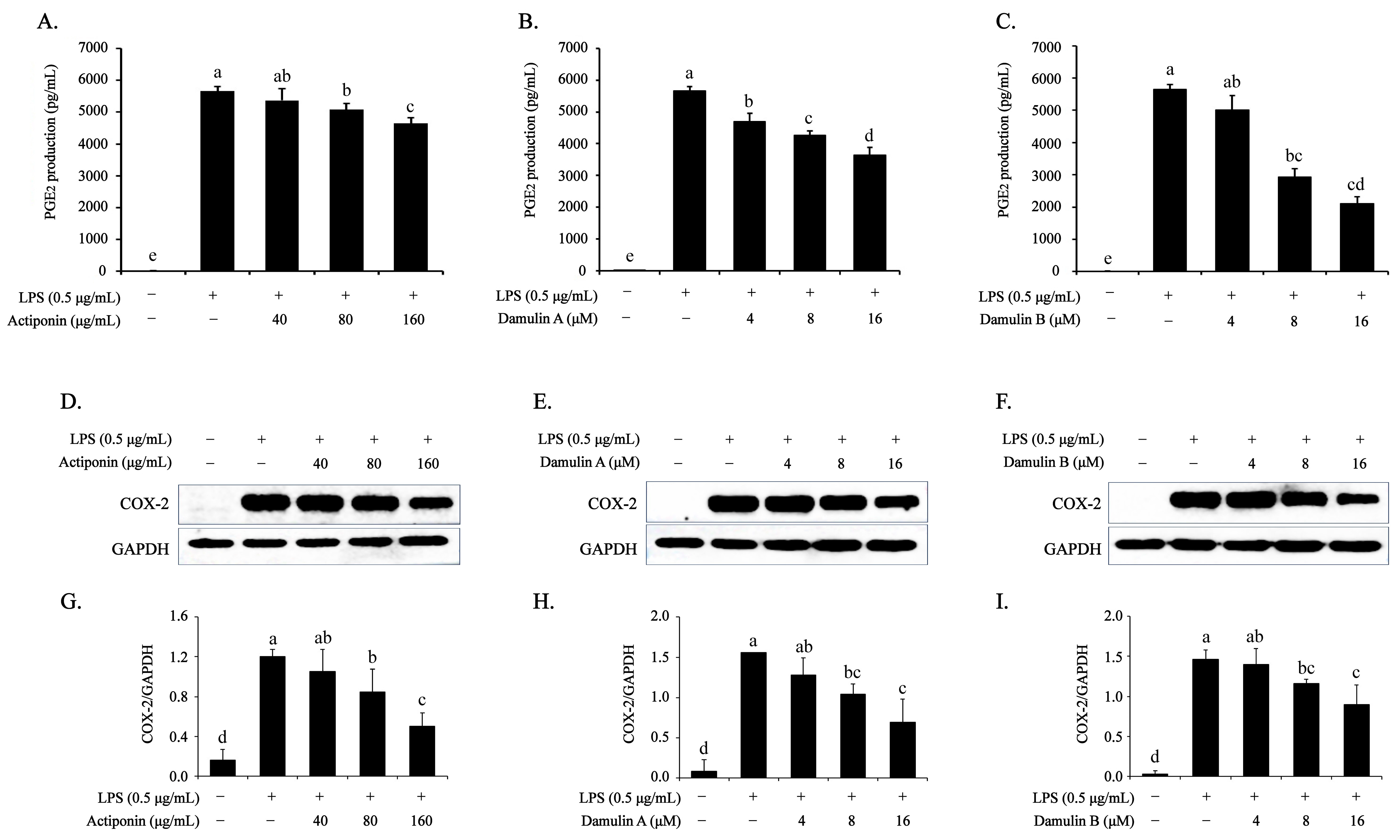 Ijms 26 09145 g003 Ijms 26 09145 g003