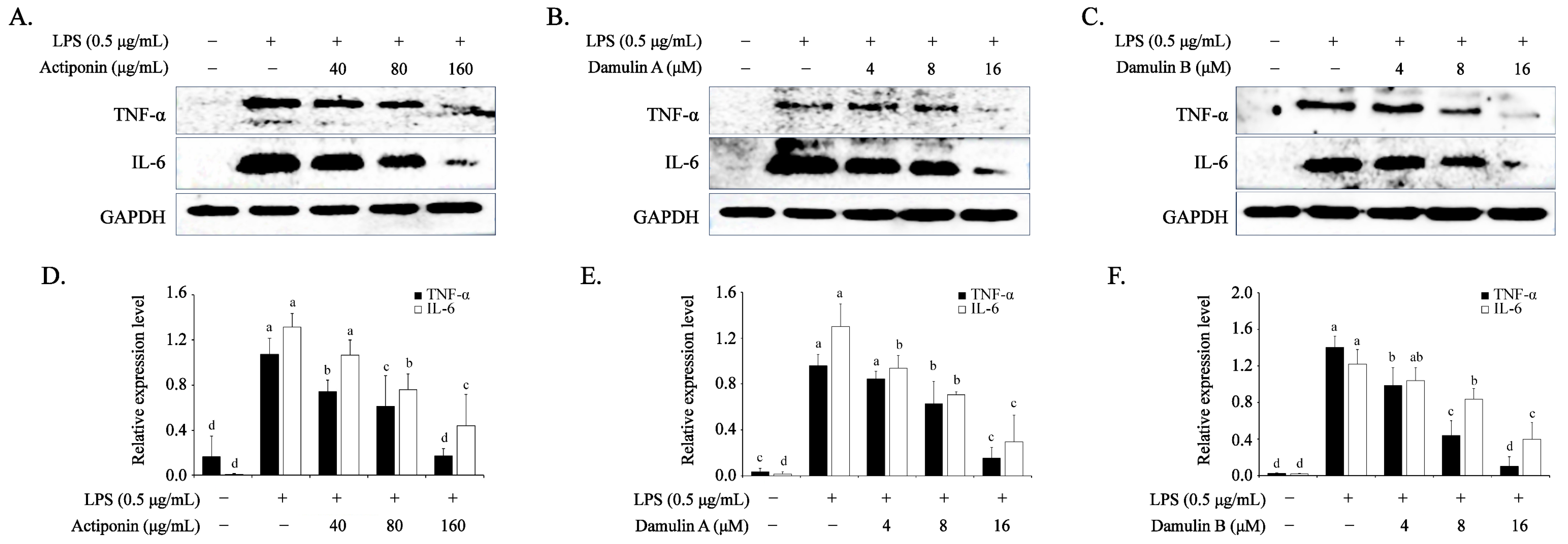 Ijms 26 09145 g004 Ijms 26 09145 g004