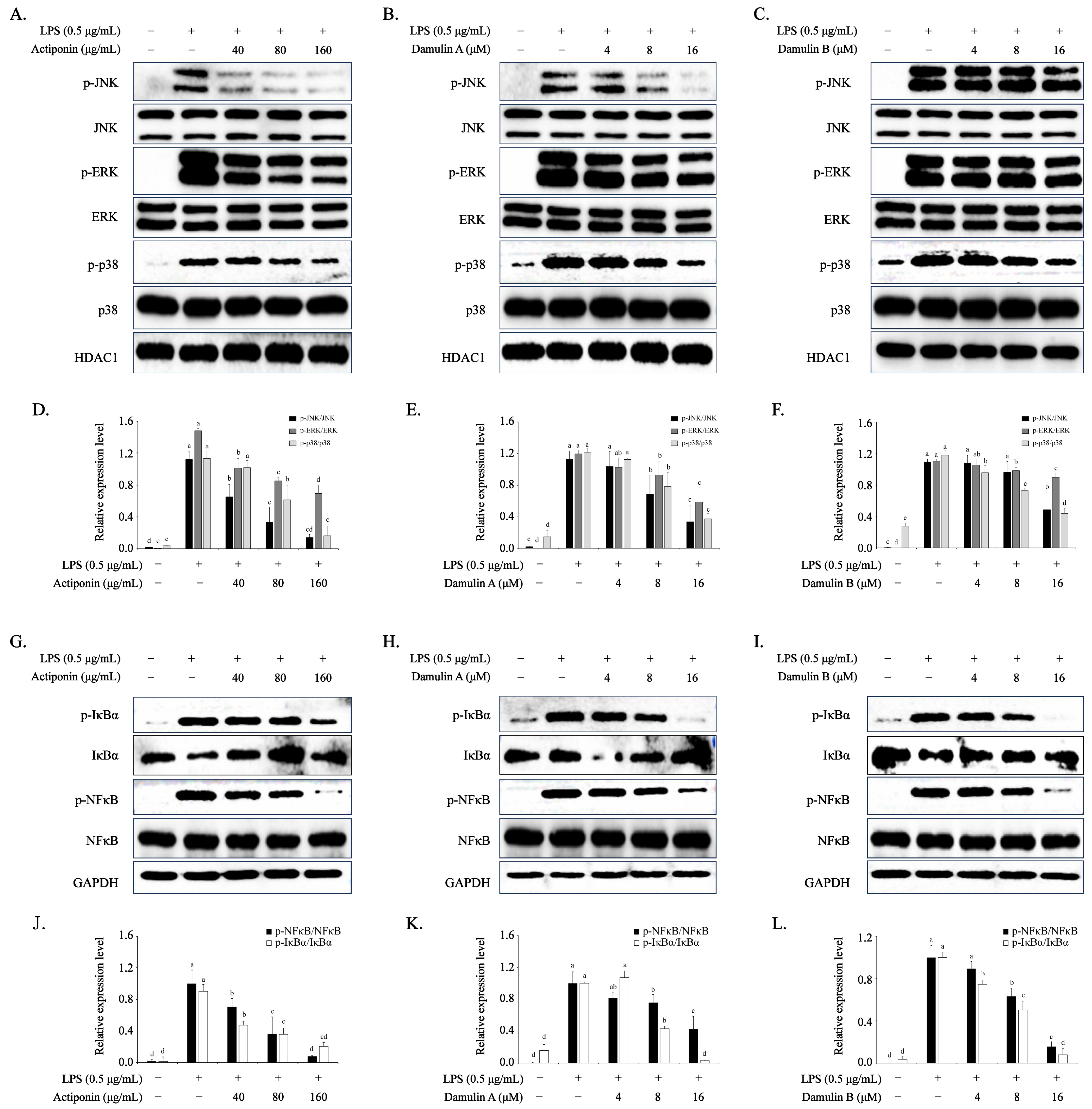 Ijms 26 09145 g005 Ijms 26 09145 g005