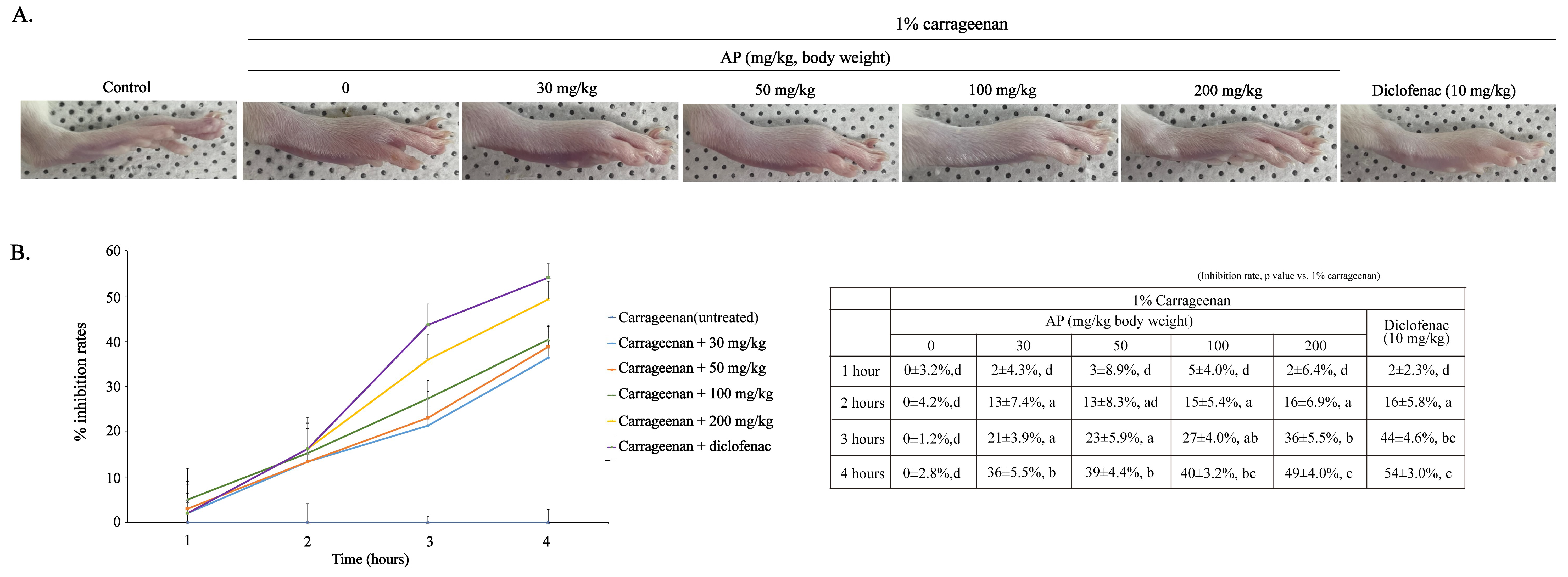 Ijms 26 09145 g006 Ijms 26 09145 g006