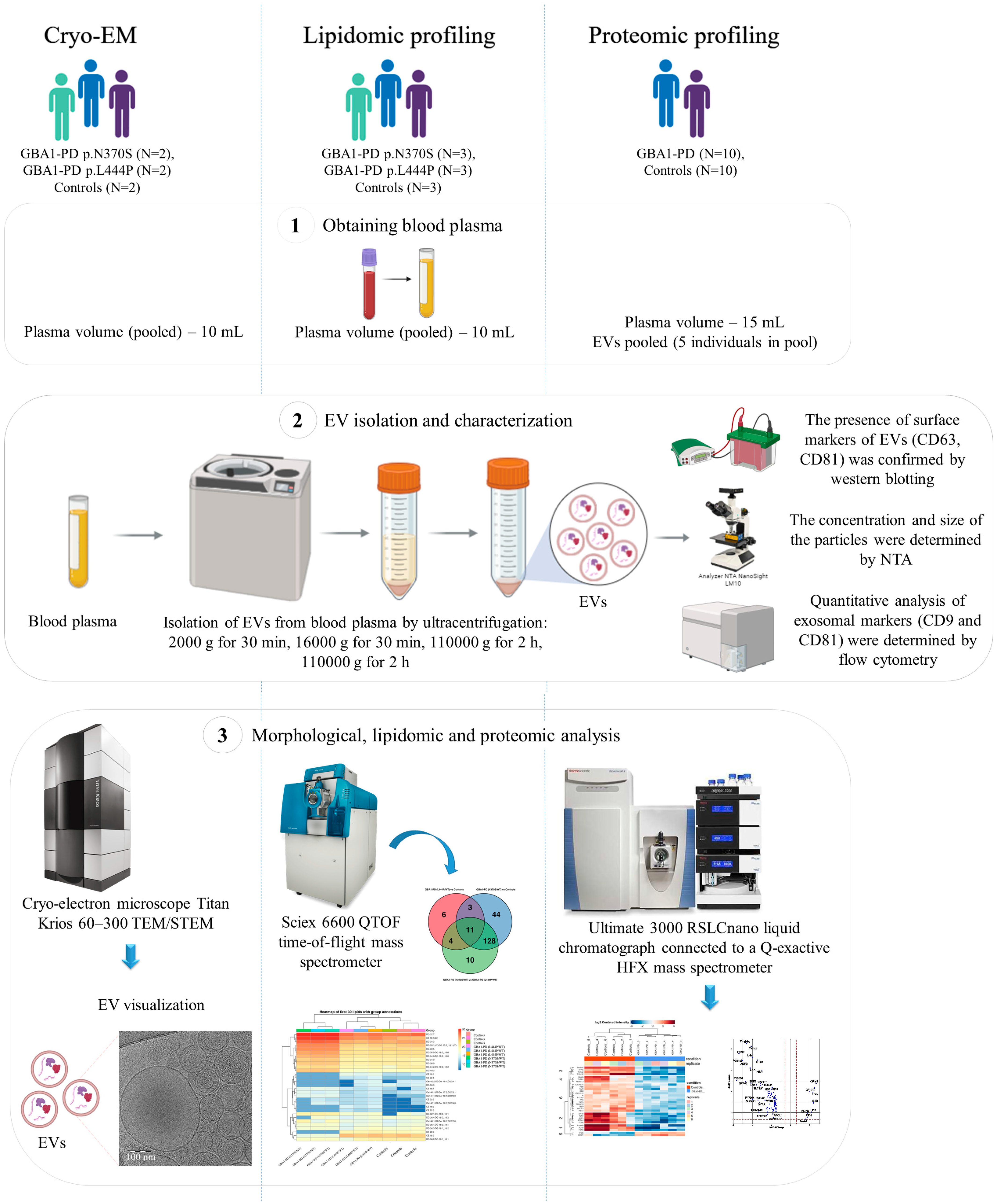 Ijms 26 09152 g001 Ijms 26 09152 g001