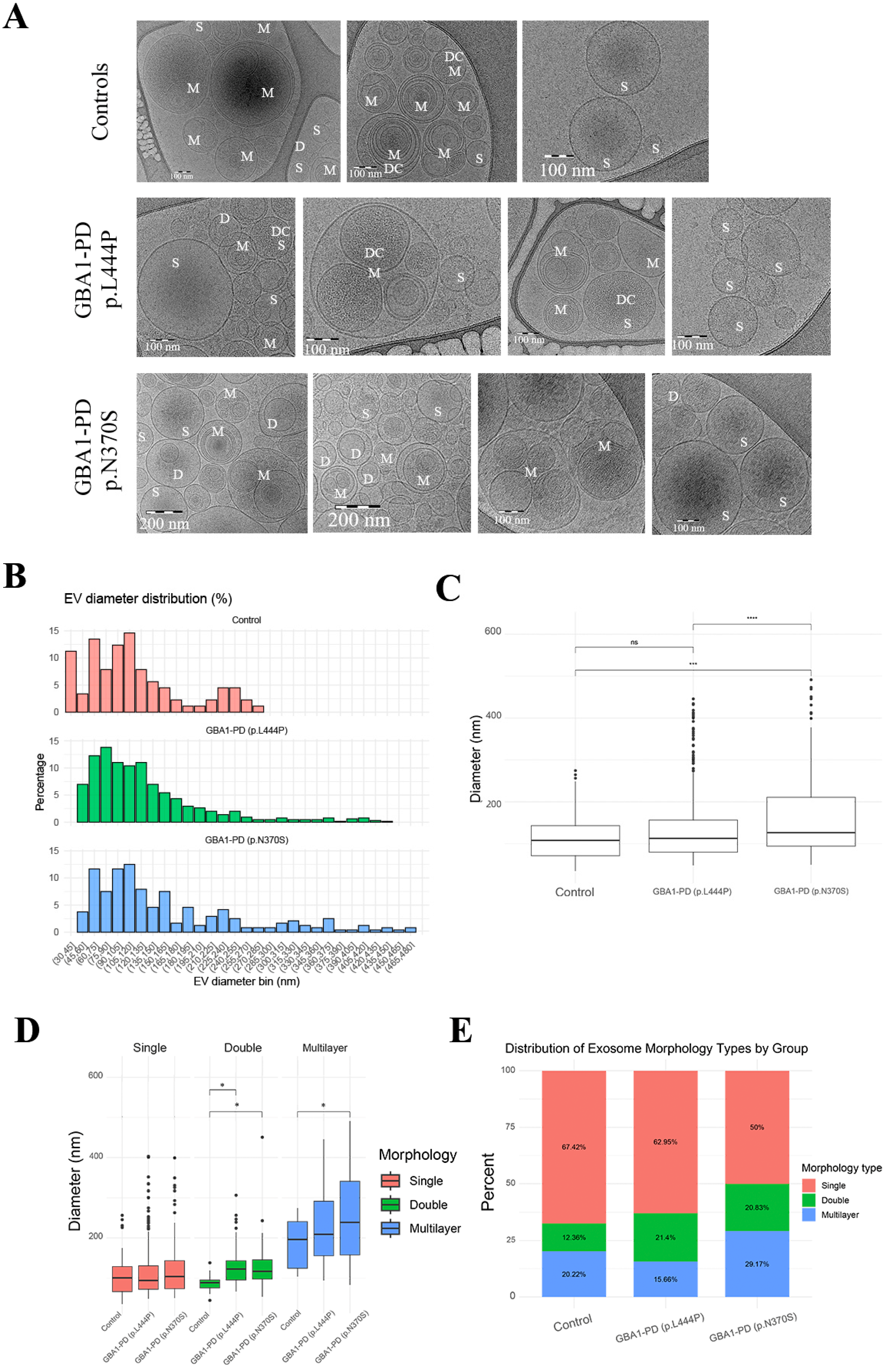 Ijms 26 09152 g003 Ijms 26 09152 g003