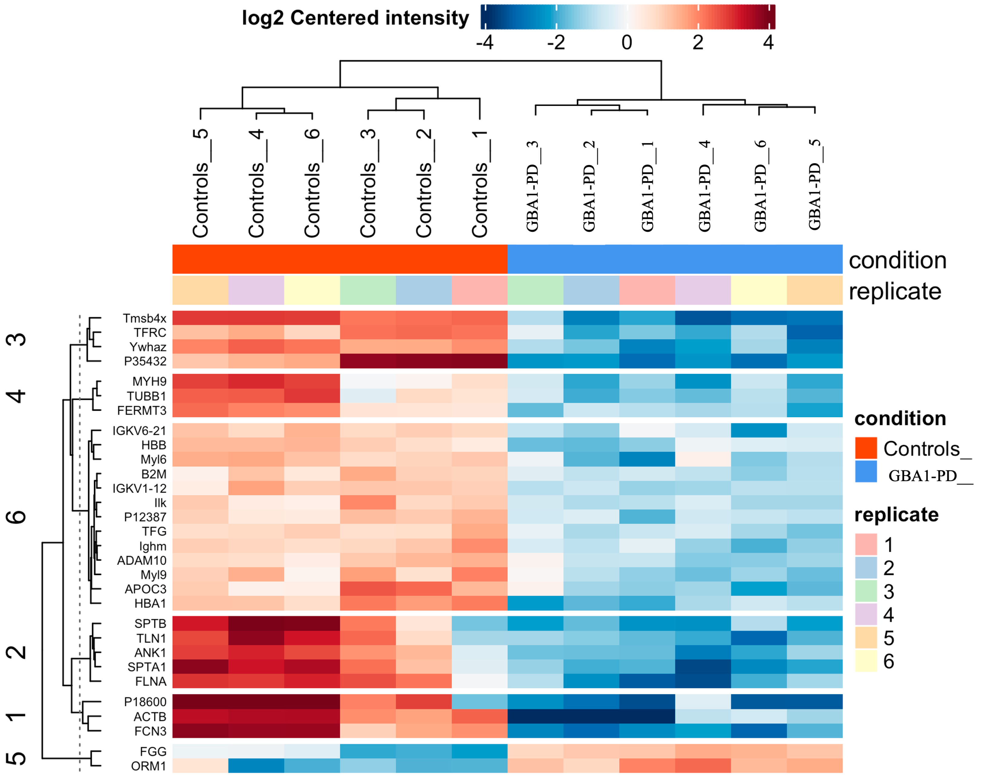 Ijms 26 09152 g009 Ijms 26 09152 g009