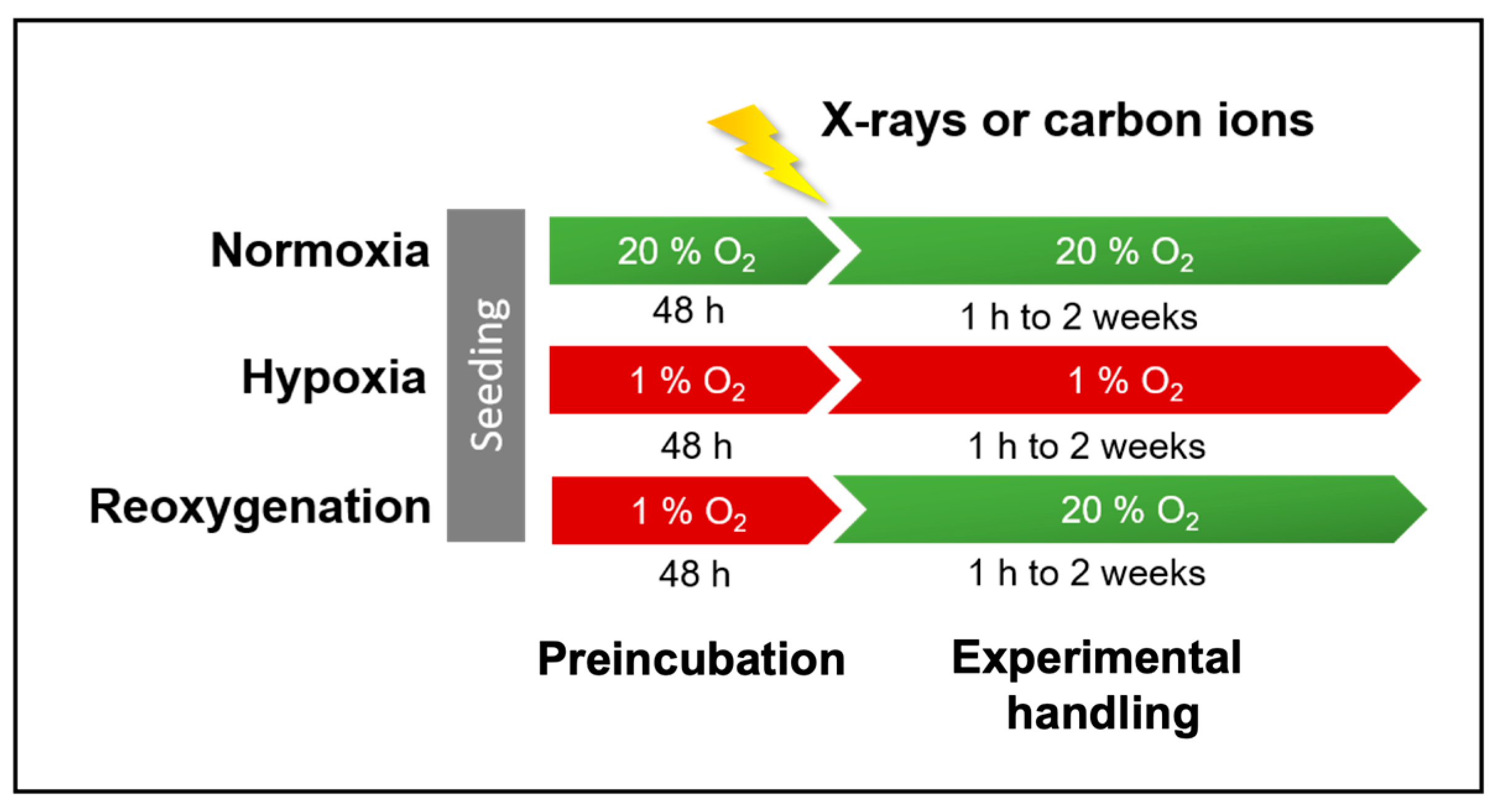 Ijms 26 09153 g001 Ijms 26 09153 g001