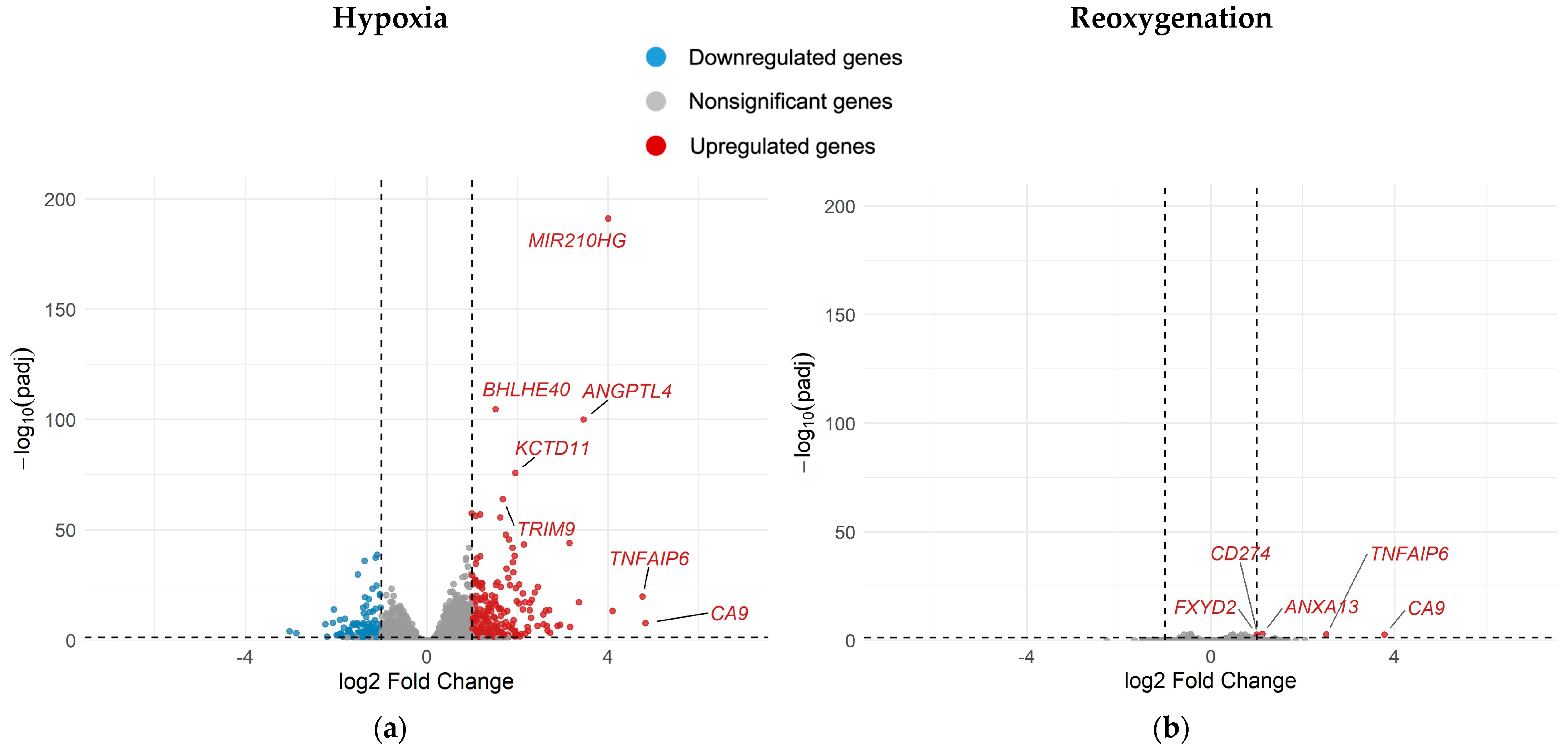 Ijms 26 09153 g005 Ijms 26 09153 g005