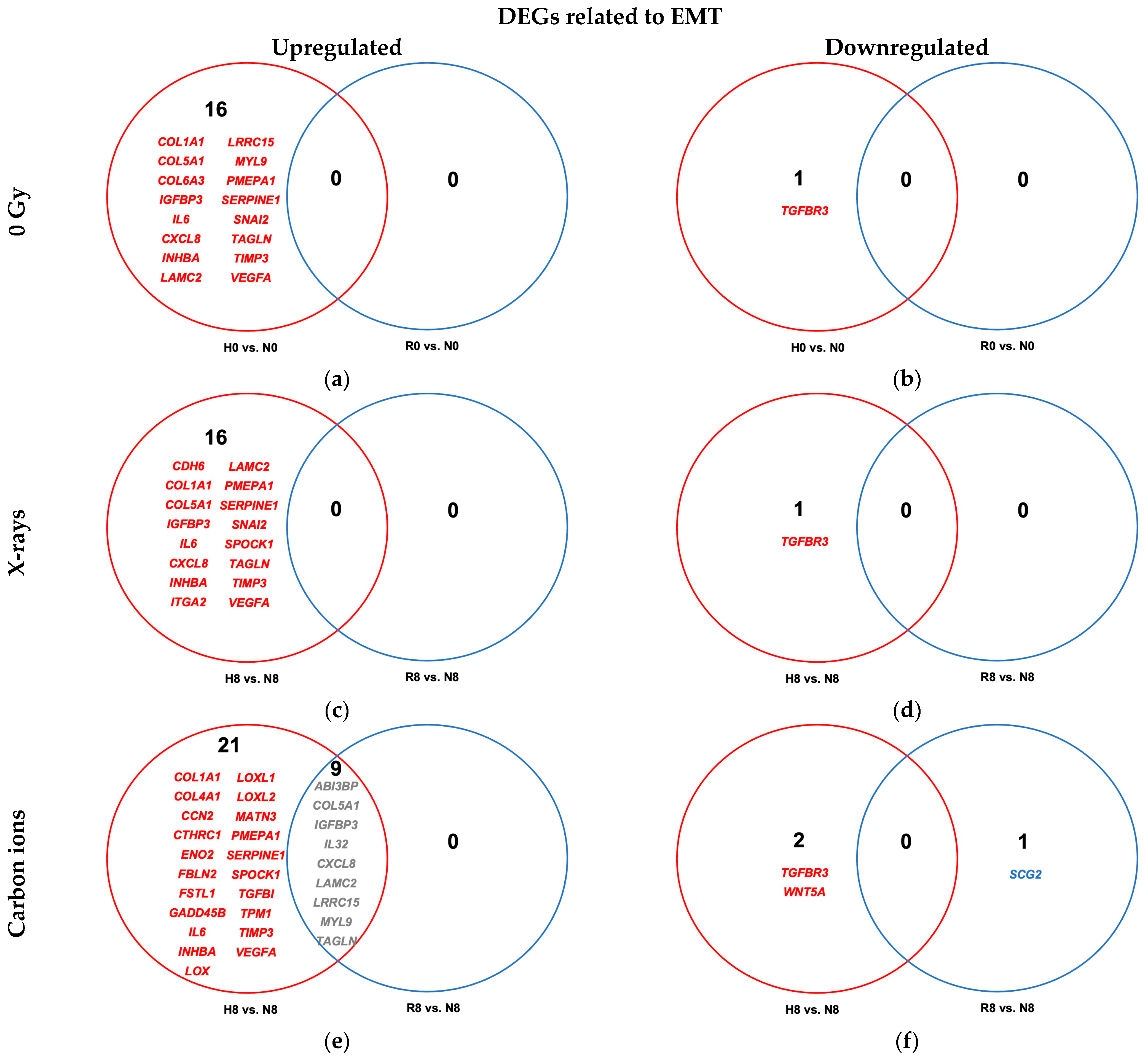 Ijms 26 09153 g007 Ijms 26 09153 g007