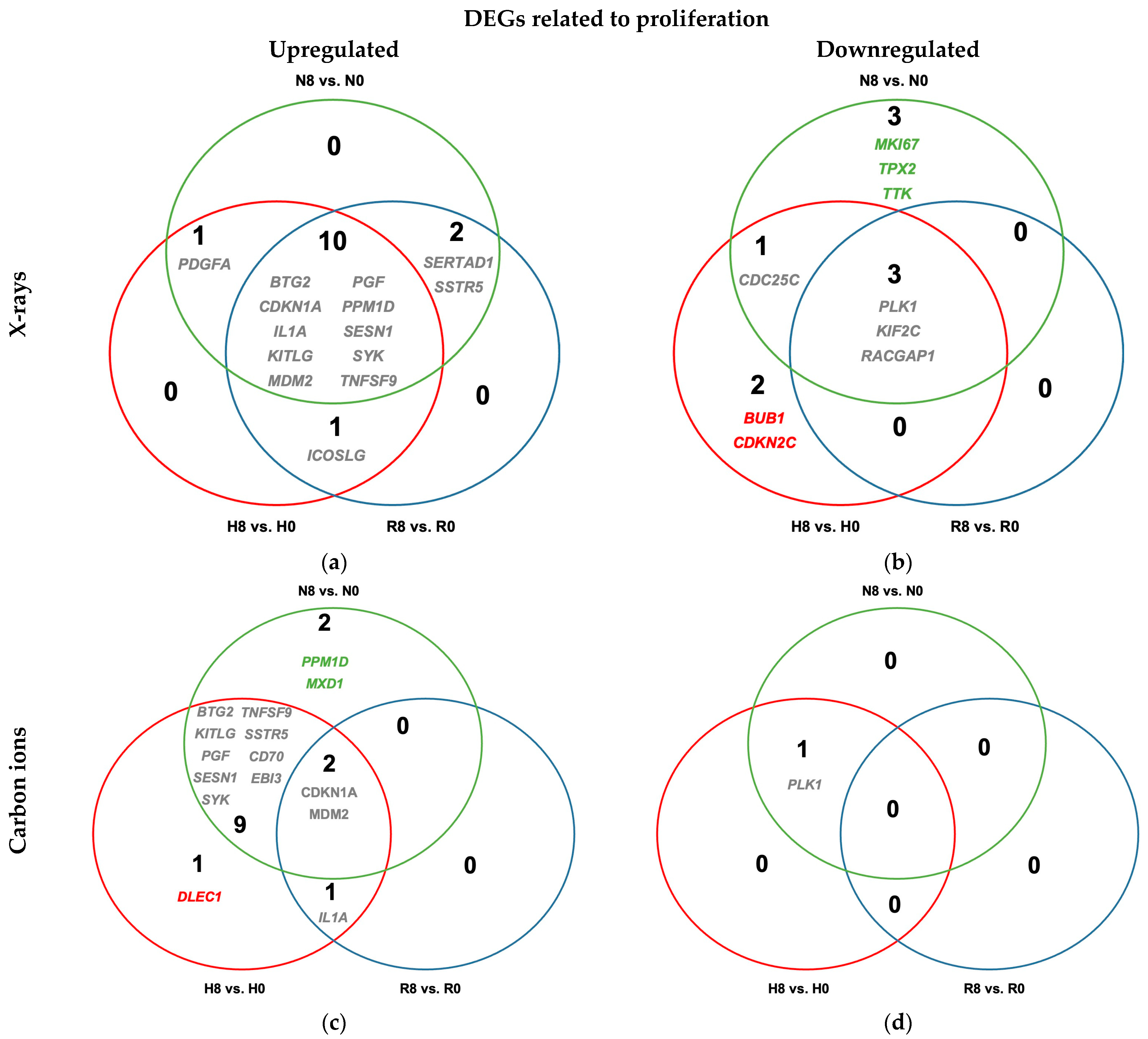 Ijms 26 09153 g008 Ijms 26 09153 g008