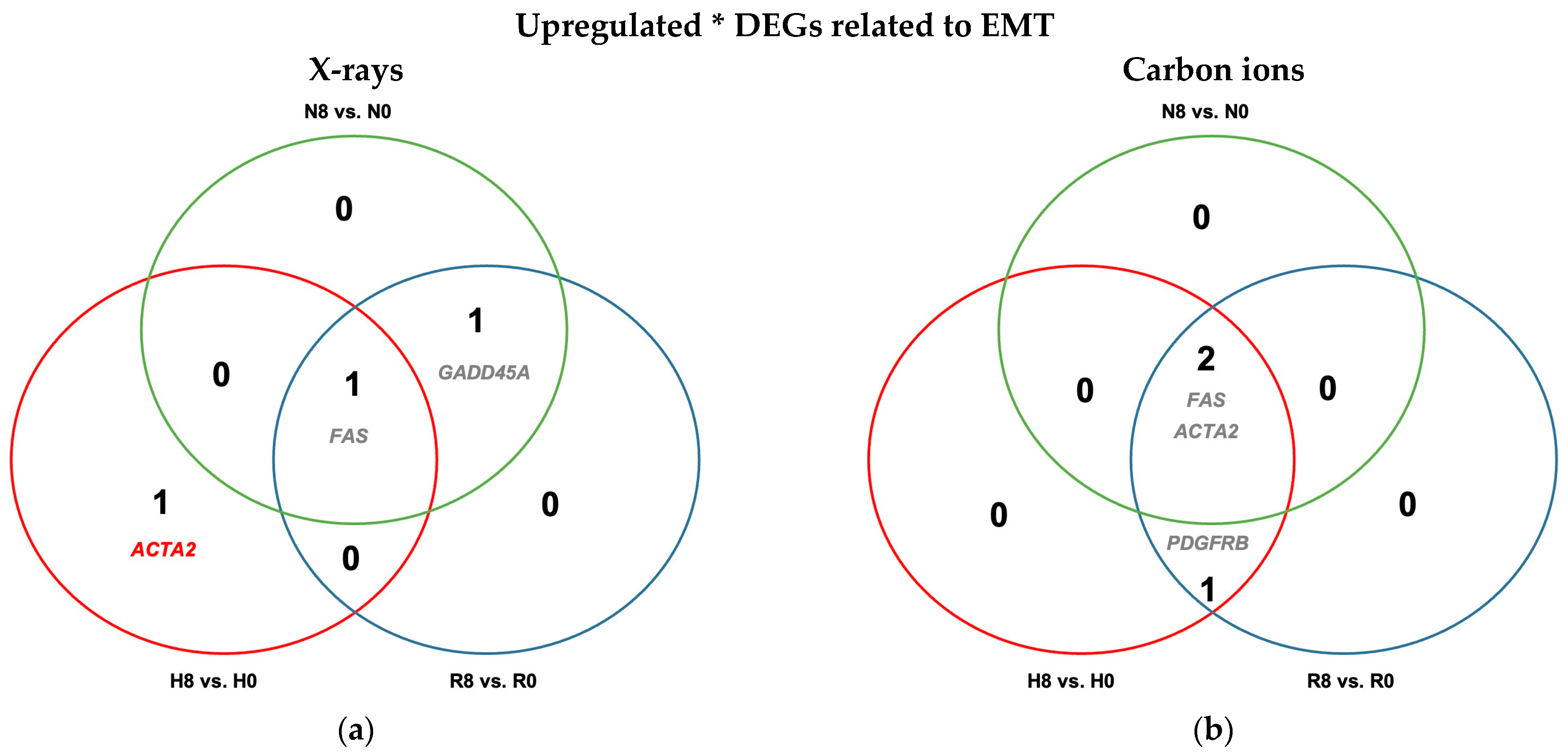 Ijms 26 09153 g009 Ijms 26 09153 g009