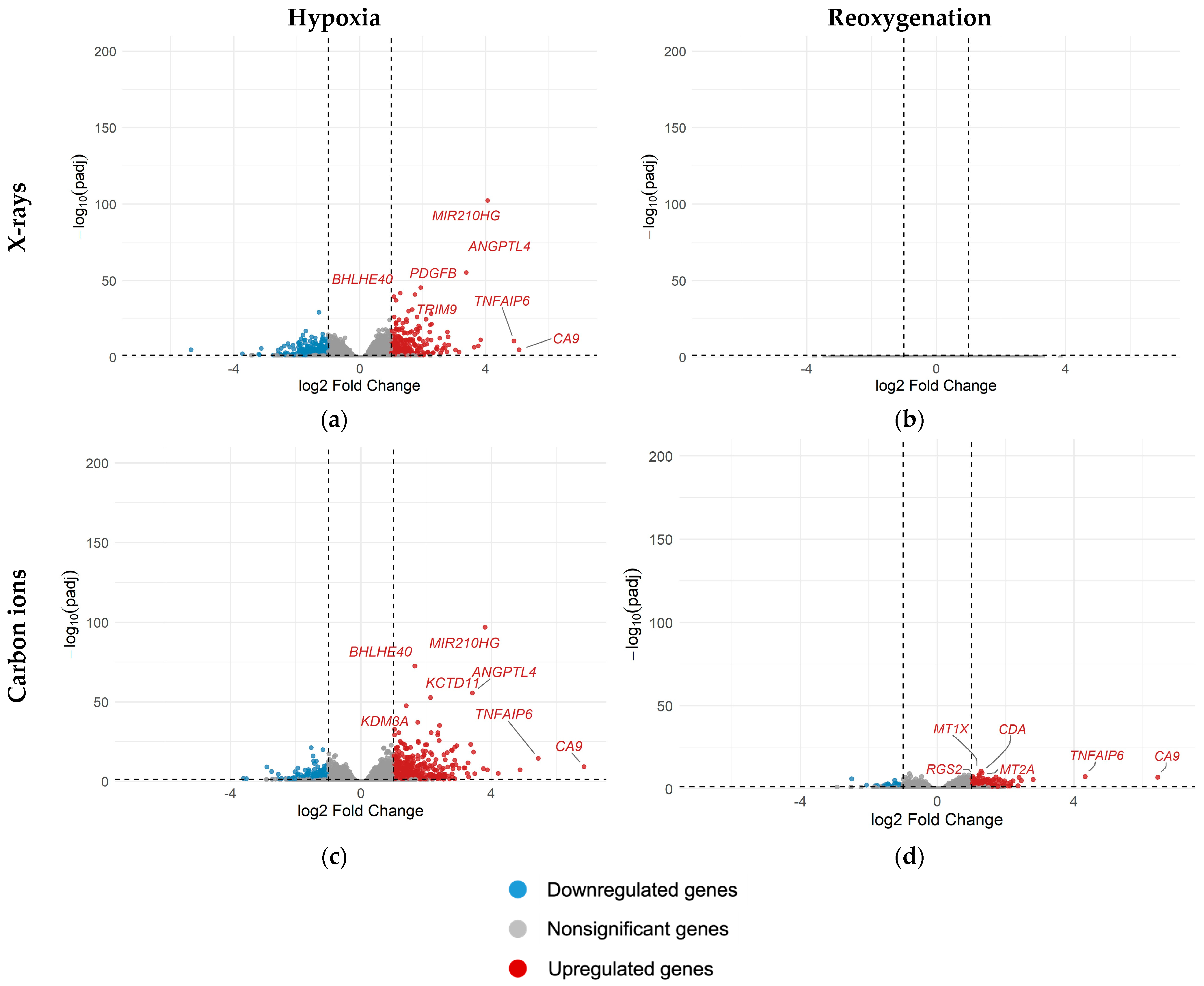 Ijms 26 09153 g0a3 Ijms 26 09153 g0a3