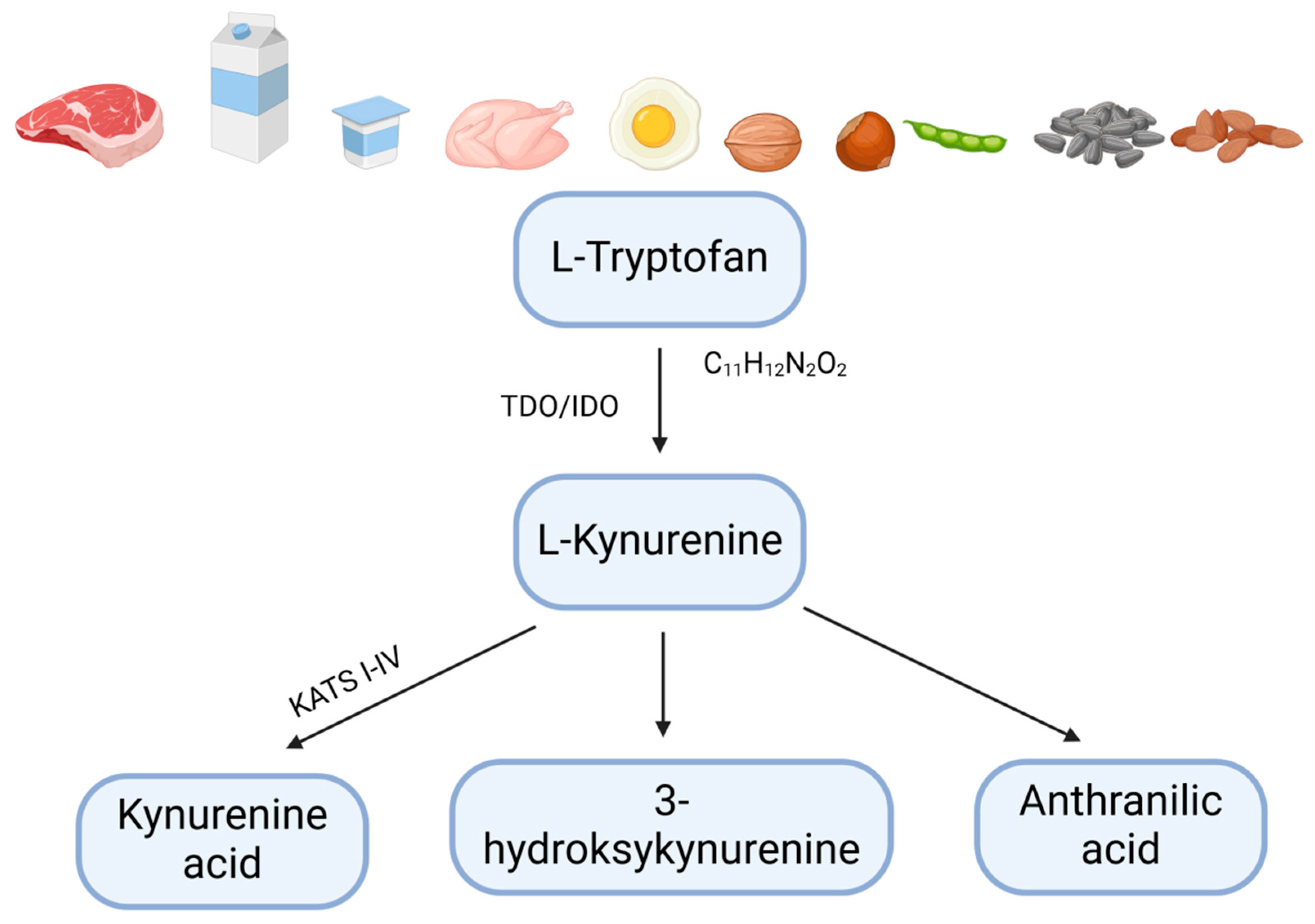 Ijms 26 09160 g002 Ijms 26 09160 g002