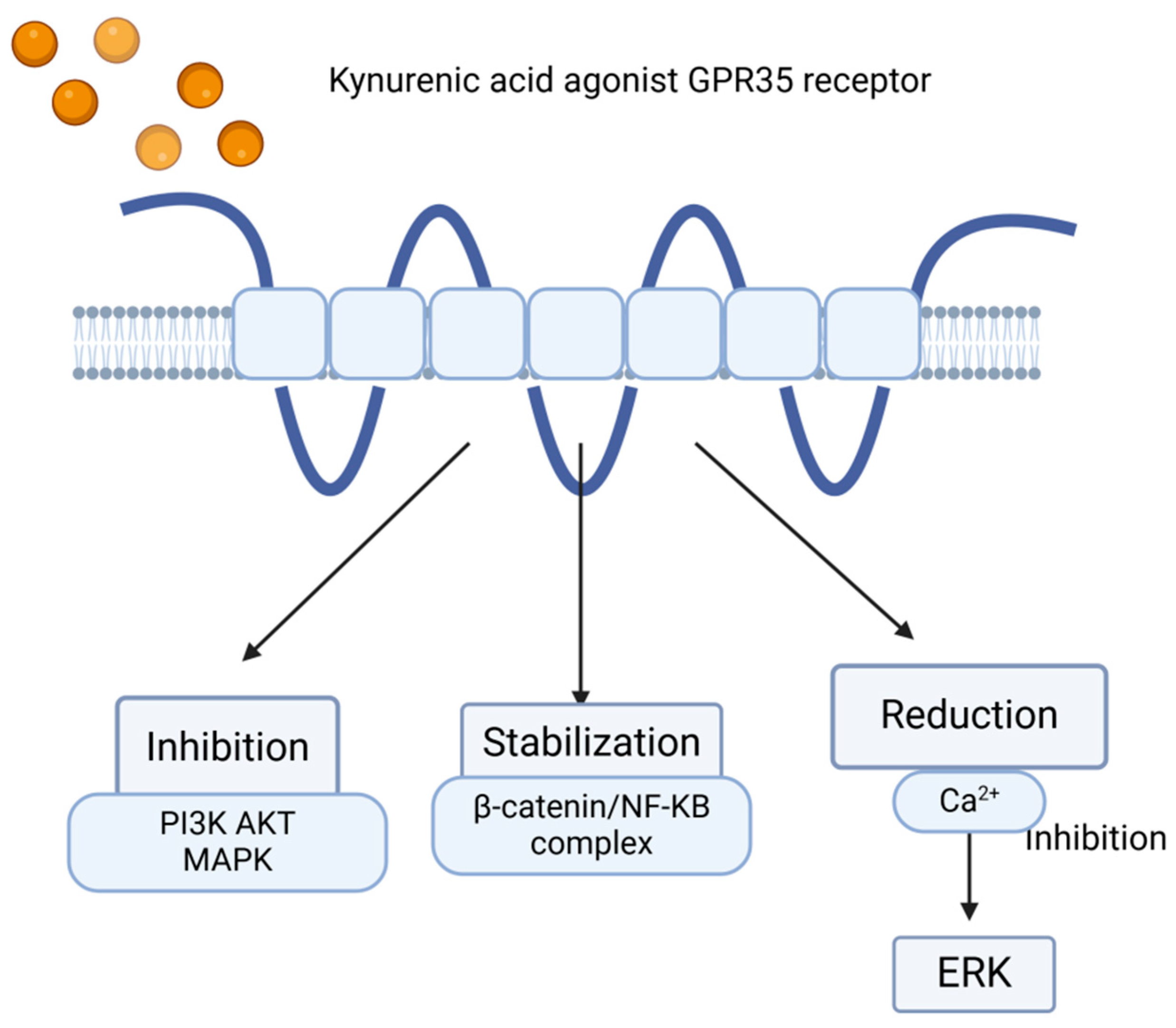 Ijms 26 09160 g003 Ijms 26 09160 g003
