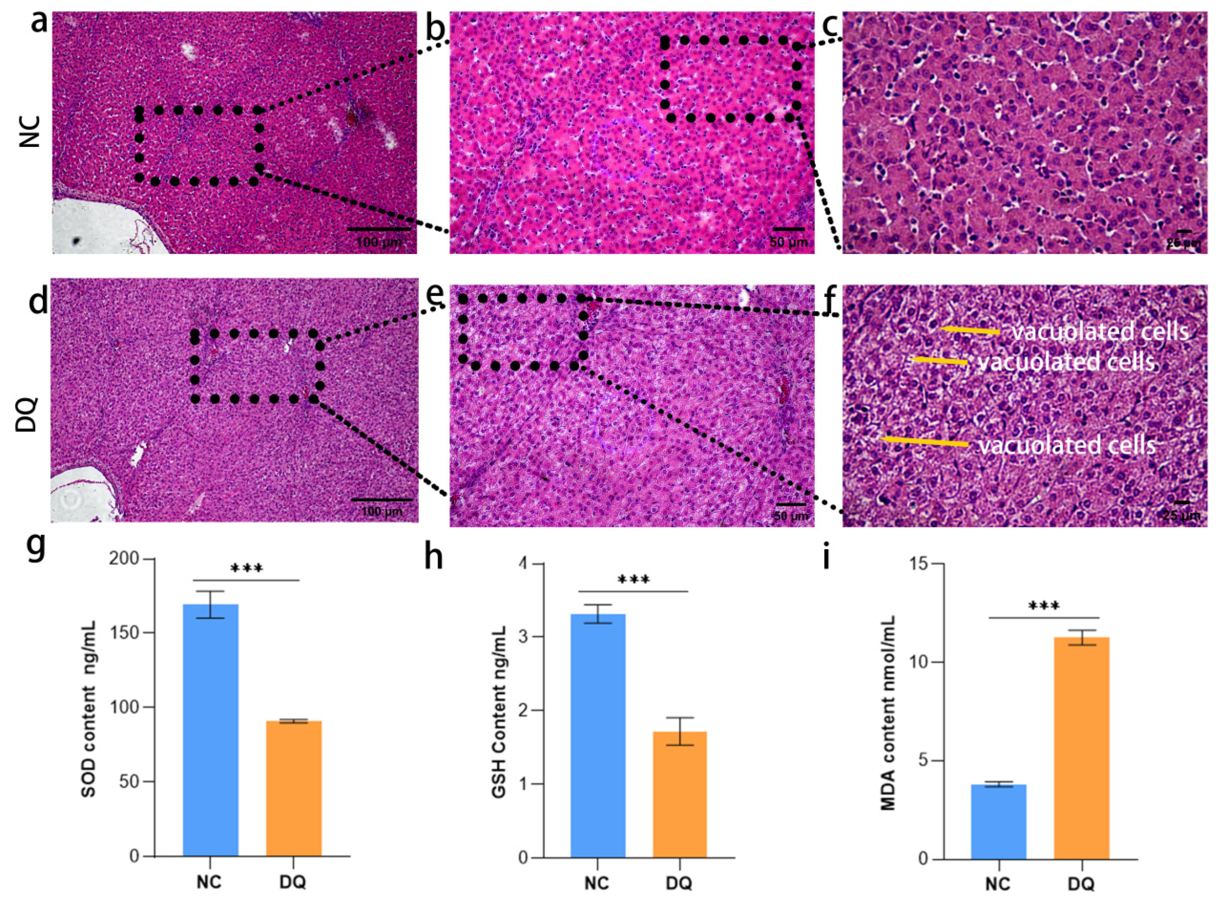 Ijms 26 09161 g001 Ijms 26 09161 g001