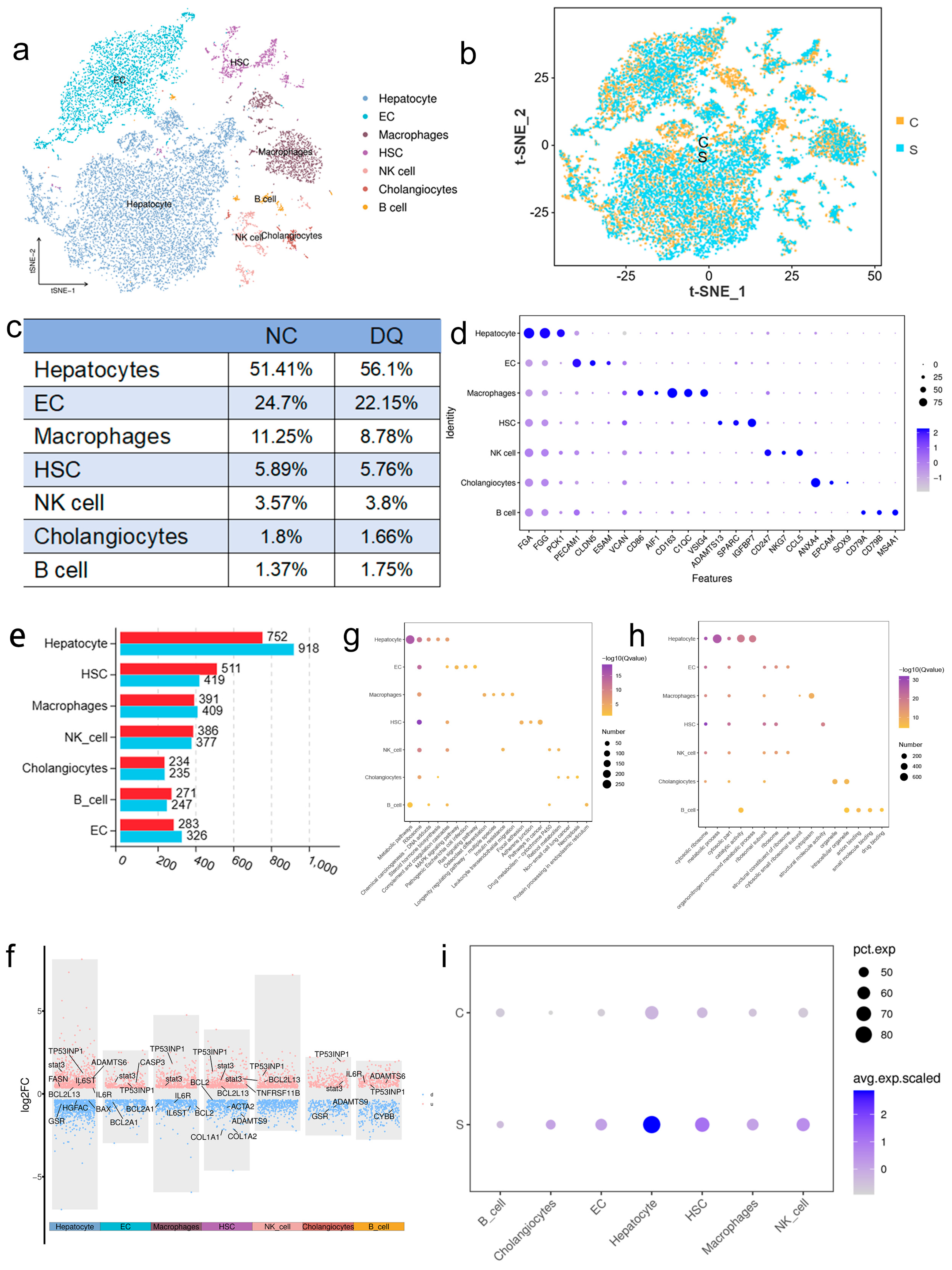 Ijms 26 09161 g002 Ijms 26 09161 g002