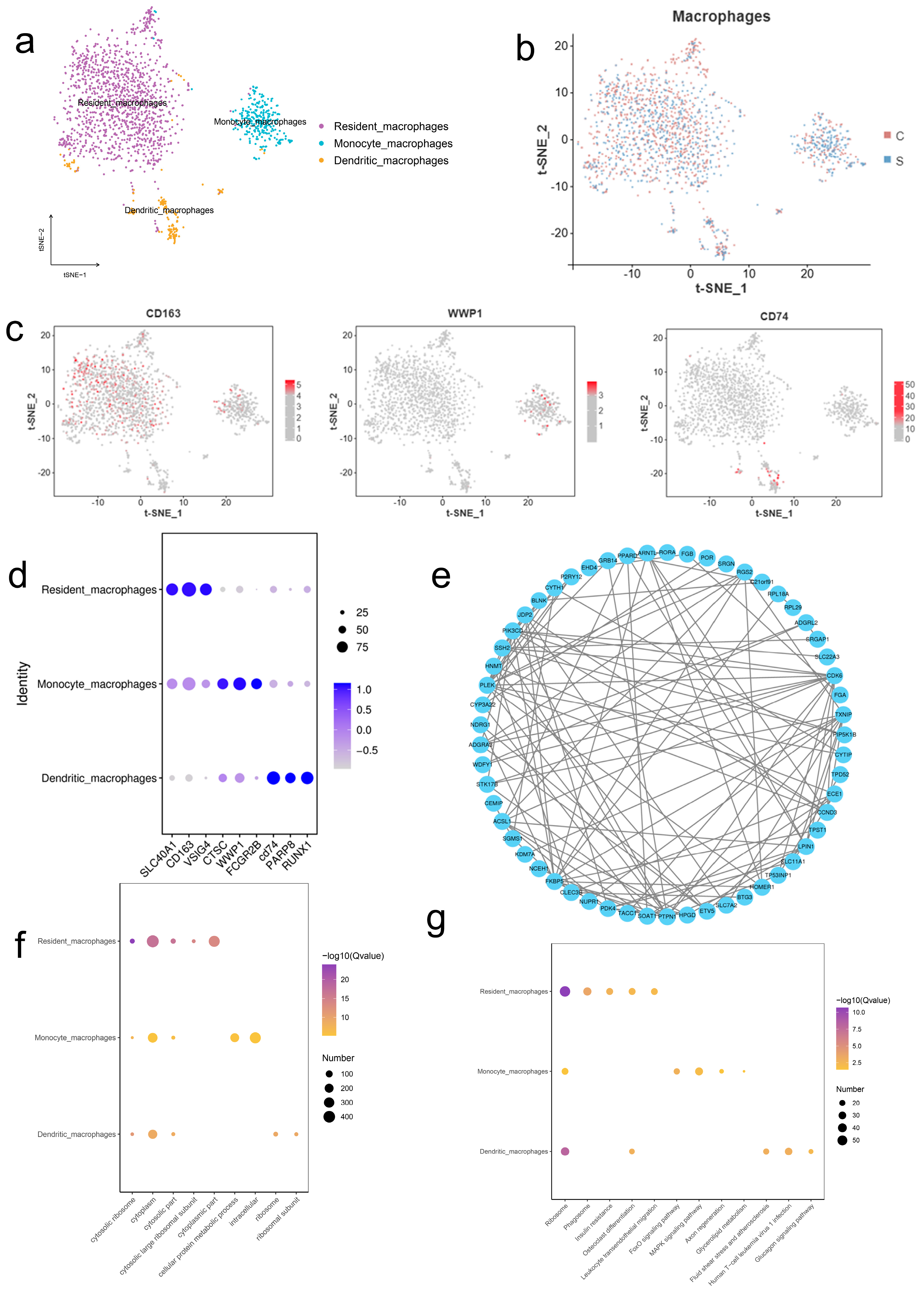 Ijms 26 09161 g003 Ijms 26 09161 g003