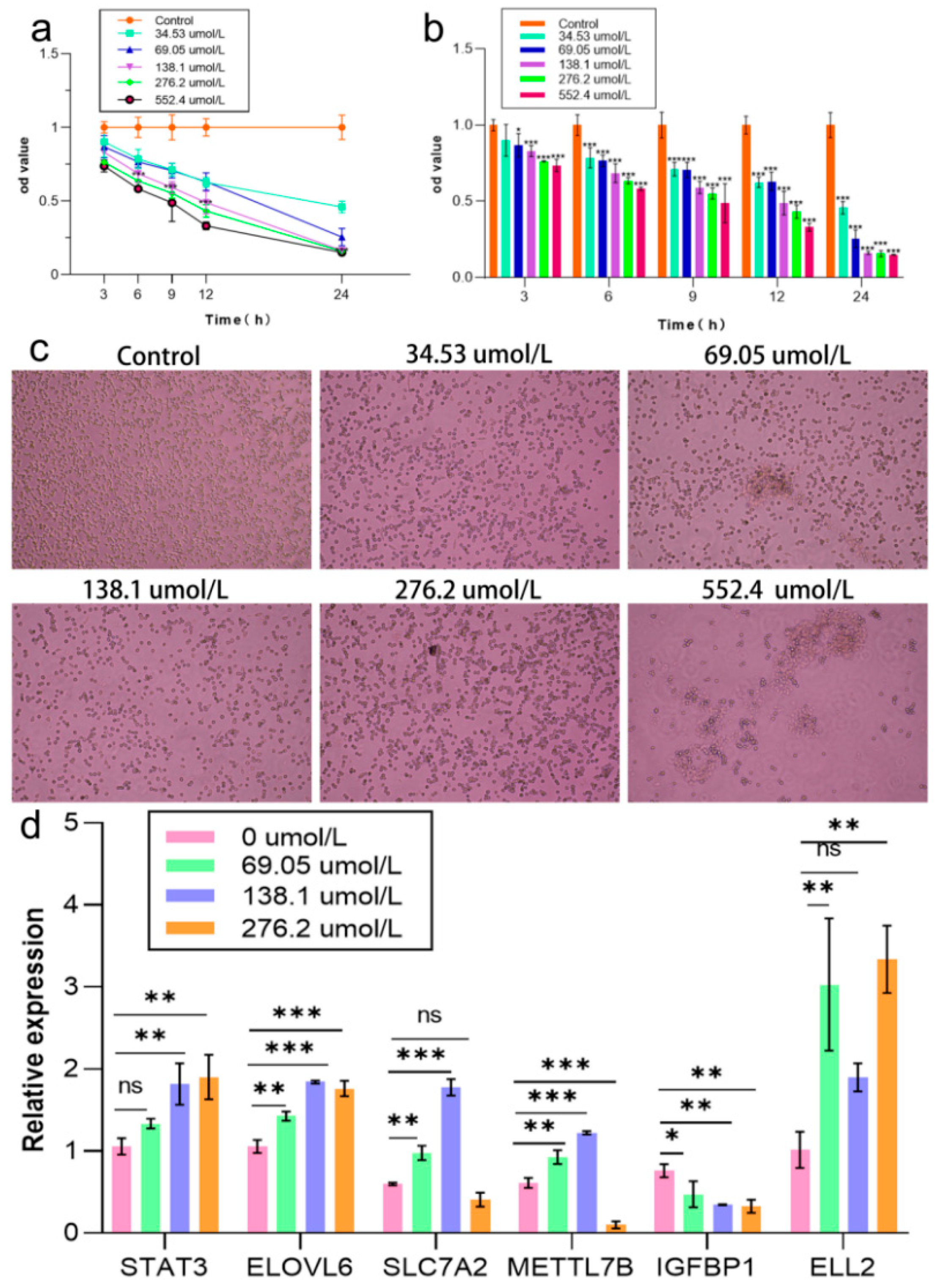 Ijms 26 09161 g004 Ijms 26 09161 g004