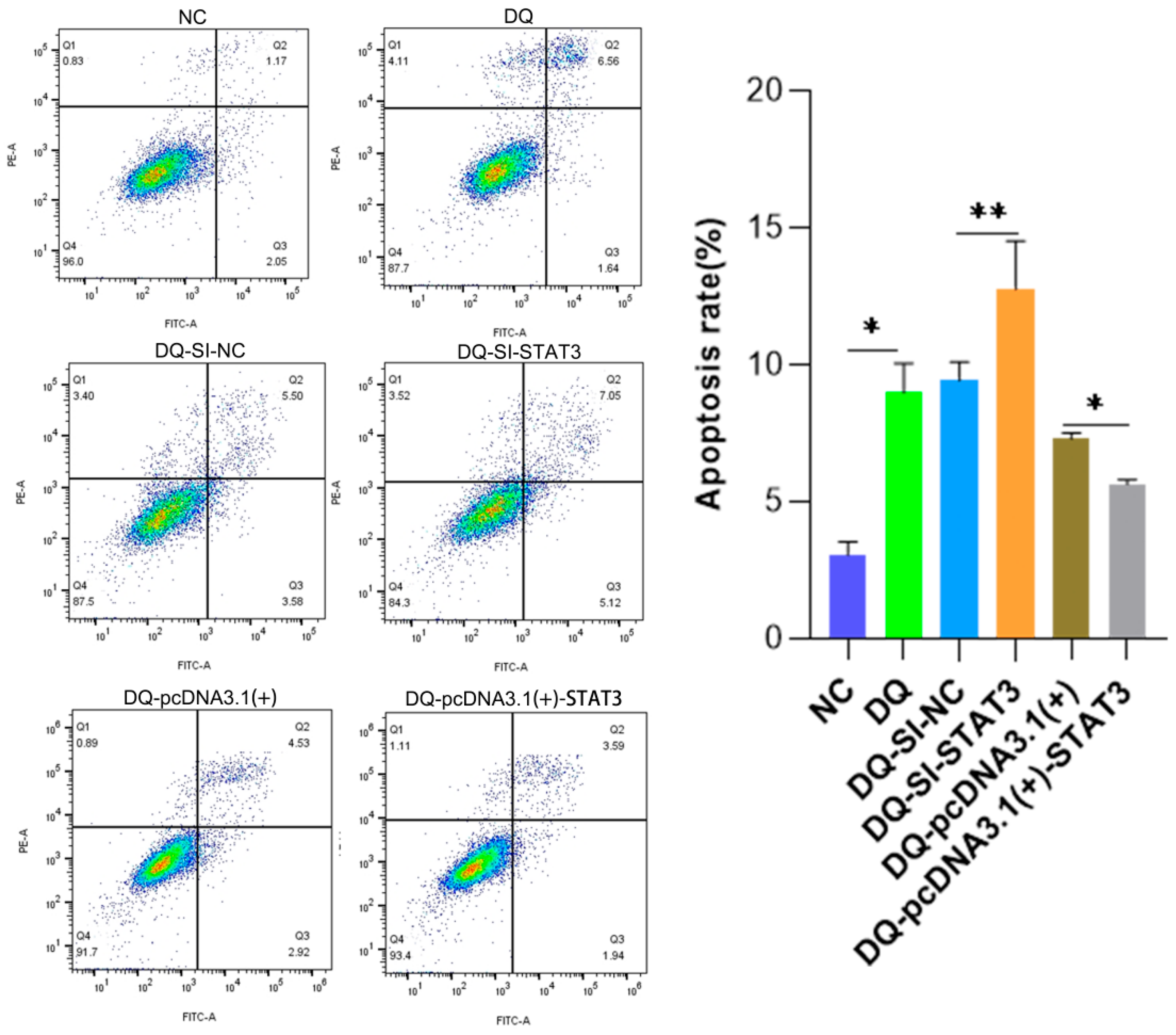 Ijms 26 09161 g005 Ijms 26 09161 g005