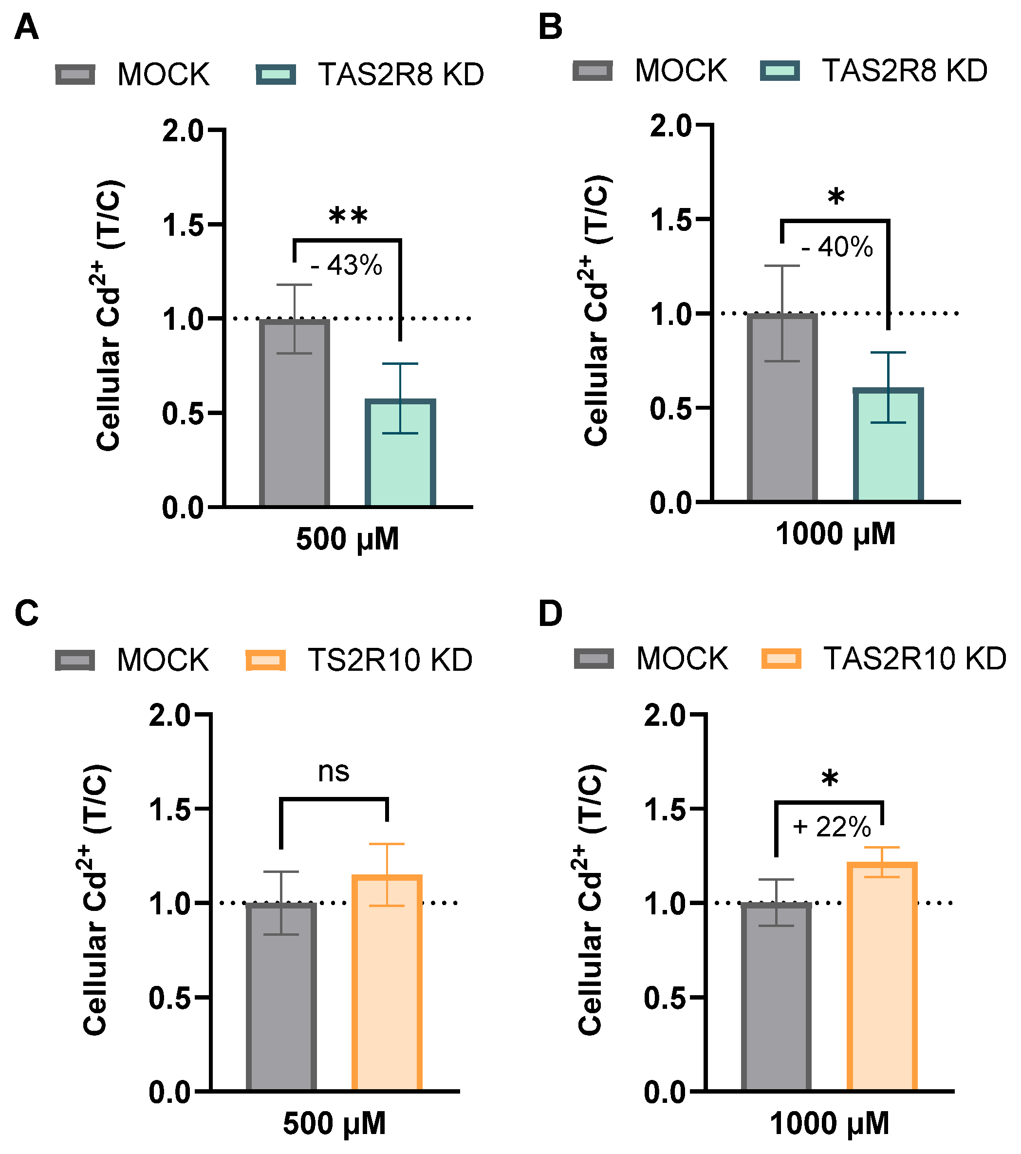 Ijms 26 09166 g006 Ijms 26 09166 g006