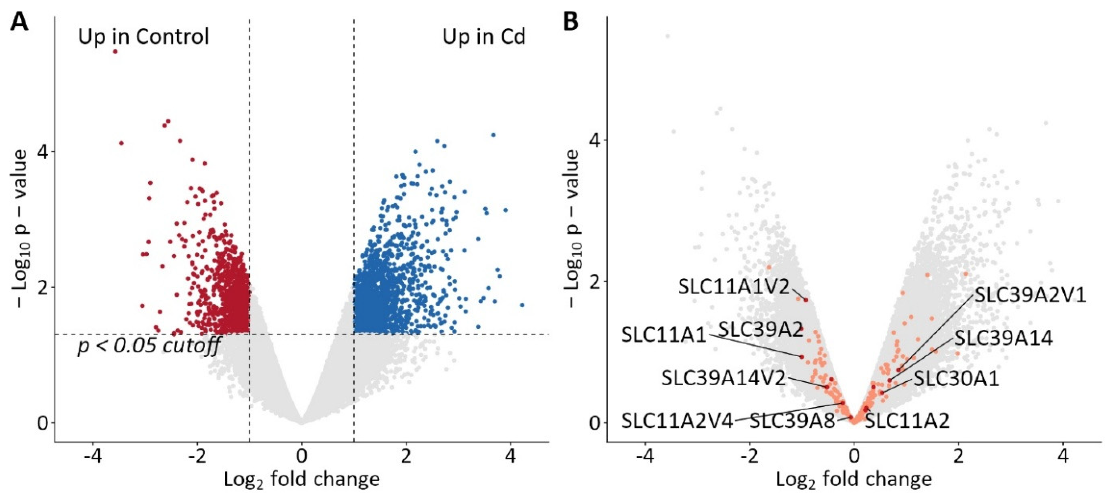 Ijms 26 09166 g007 Ijms 26 09166 g007