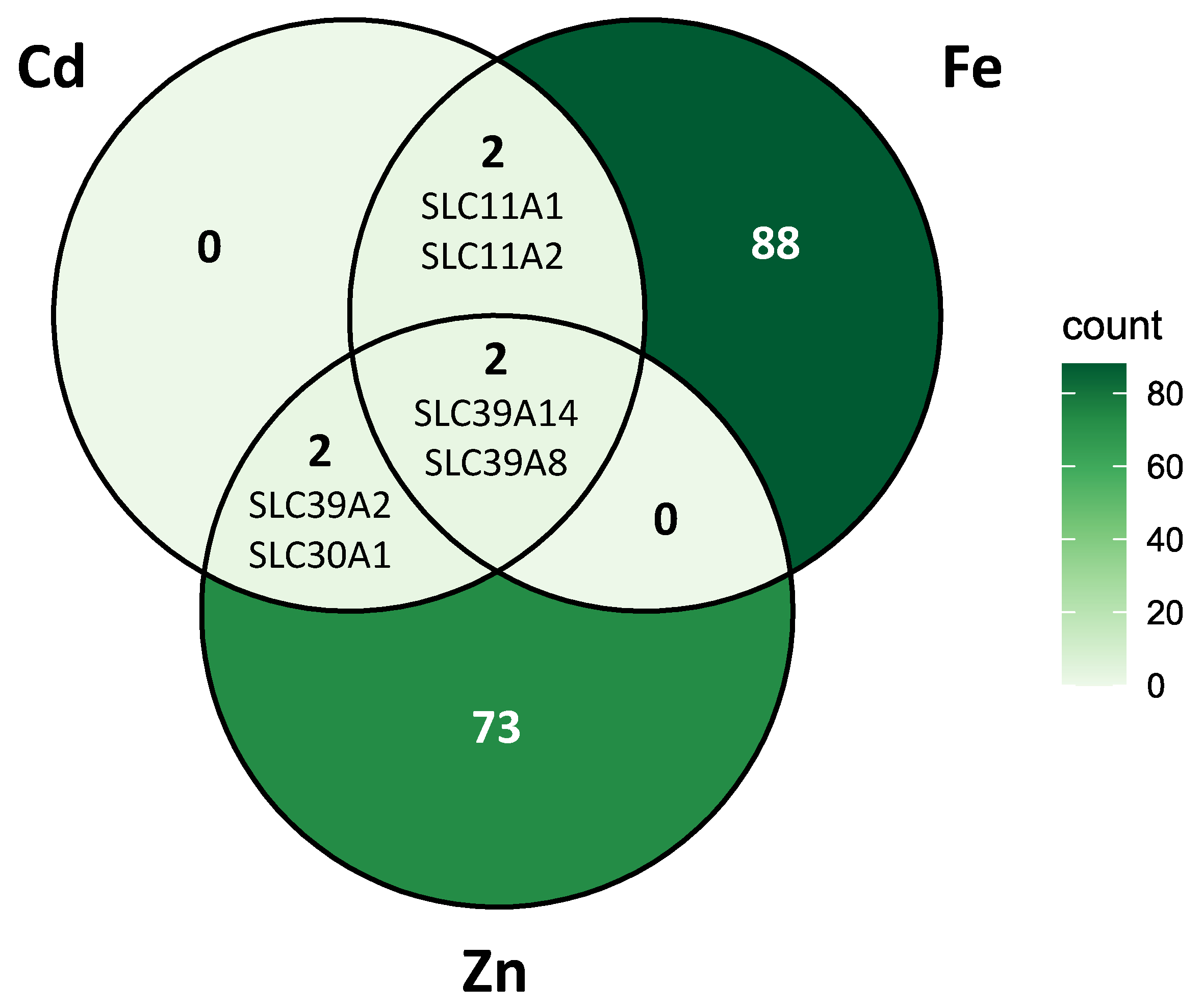 Ijms 26 09166 g008 Ijms 26 09166 g008