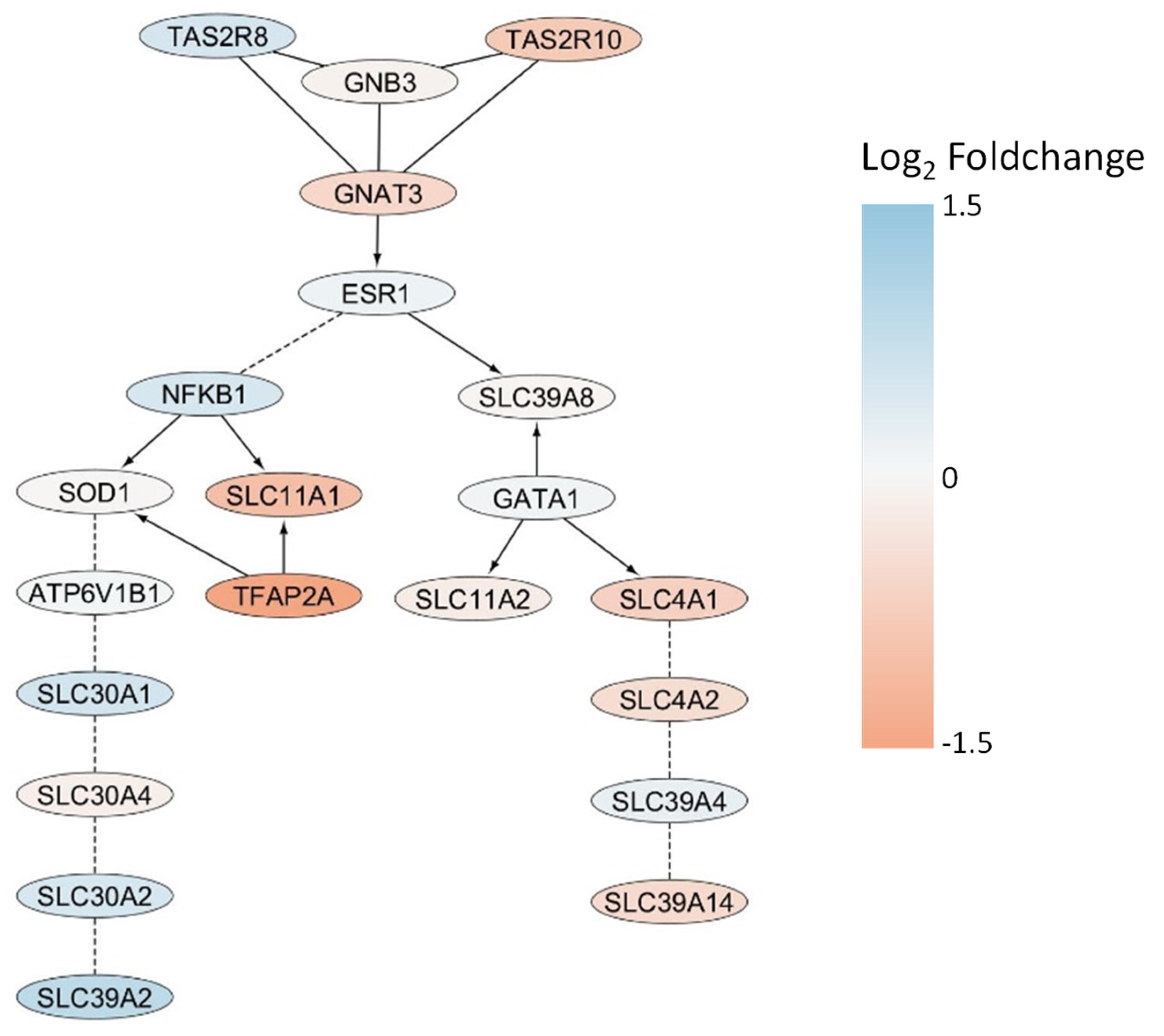 Ijms 26 09166 g009 Ijms 26 09166 g009