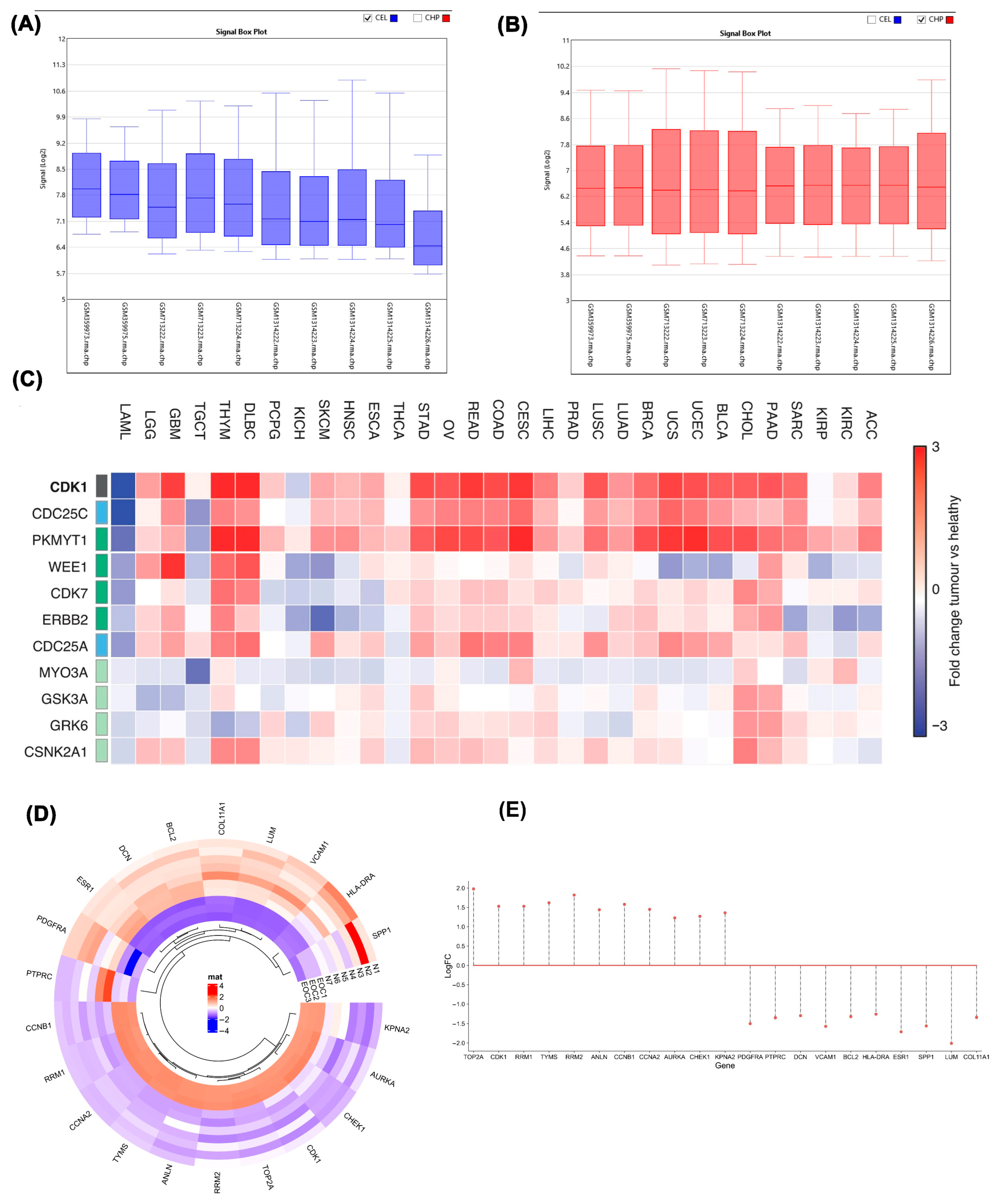 Ijms 26 09168 g001 Ijms 26 09168 g001