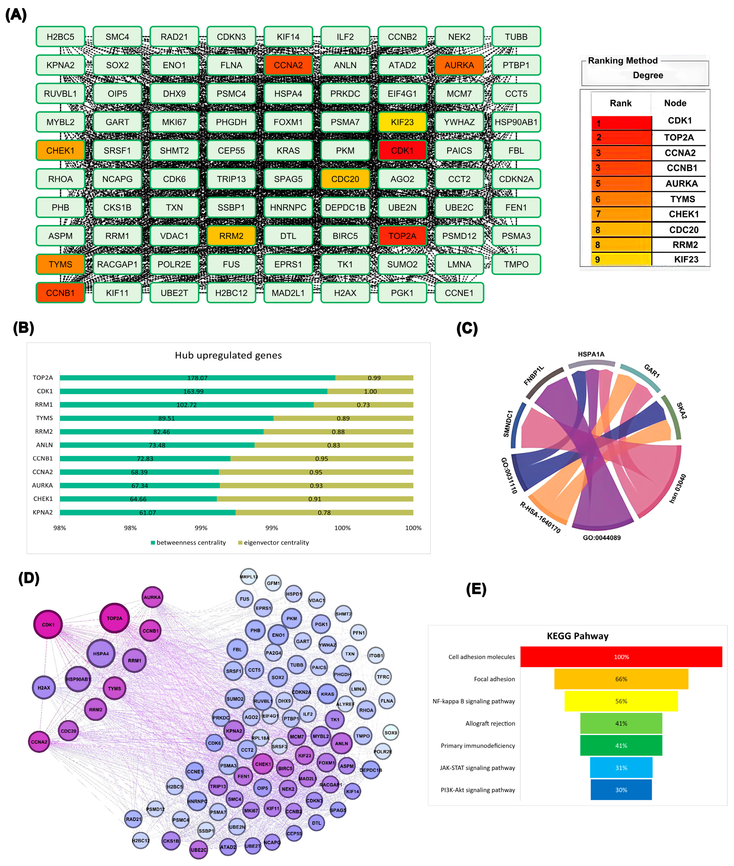 Ijms 26 09168 g002 Ijms 26 09168 g002