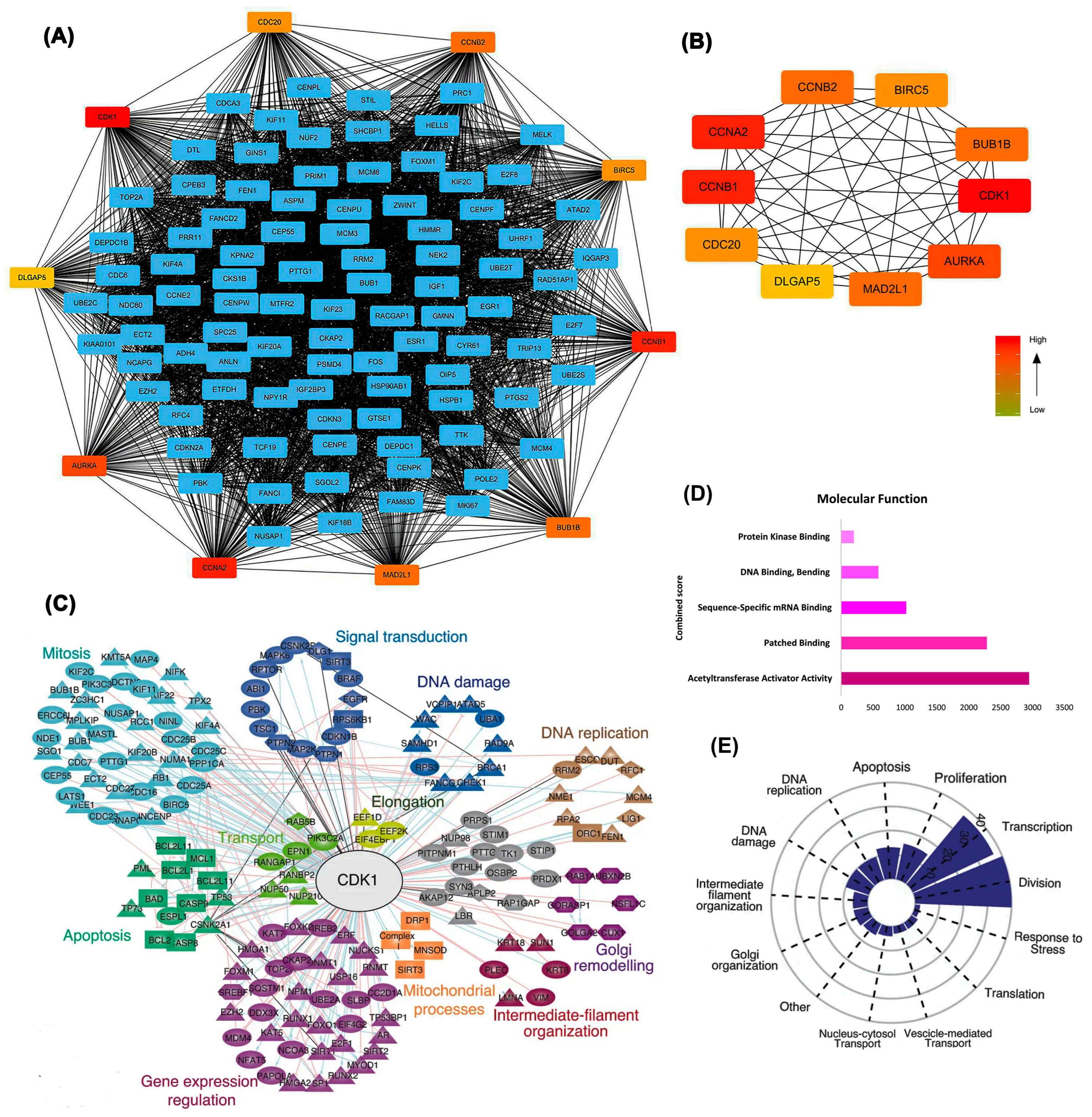 Ijms 26 09168 g003 Ijms 26 09168 g003