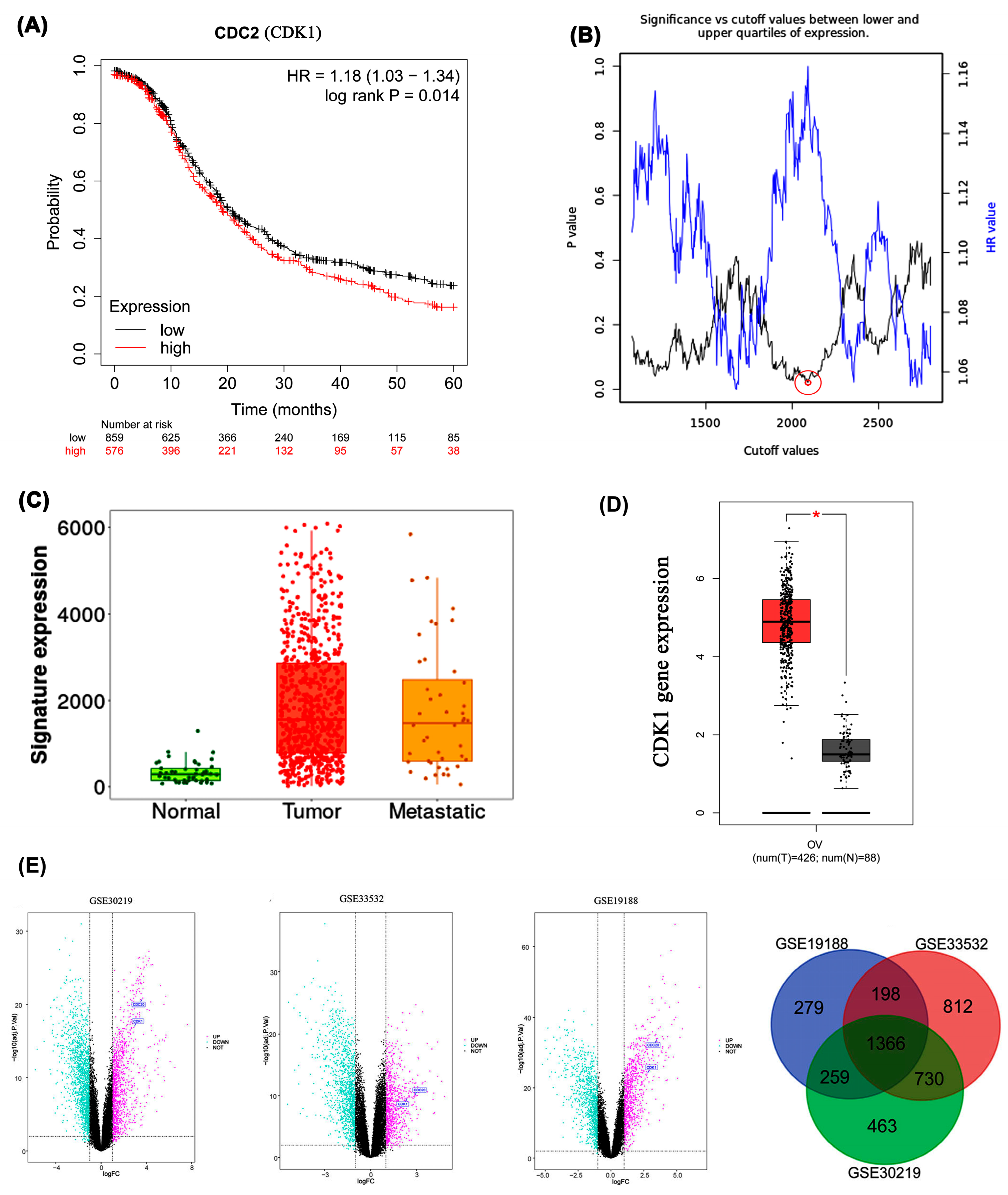Ijms 26 09168 g004 Ijms 26 09168 g004