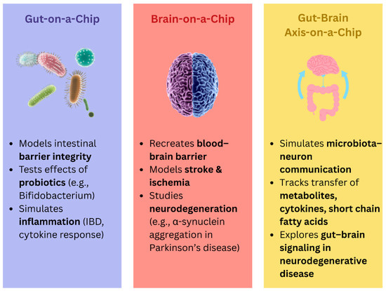 Nanomedicine-Driven Modulation of the Gut–Brain Axis
