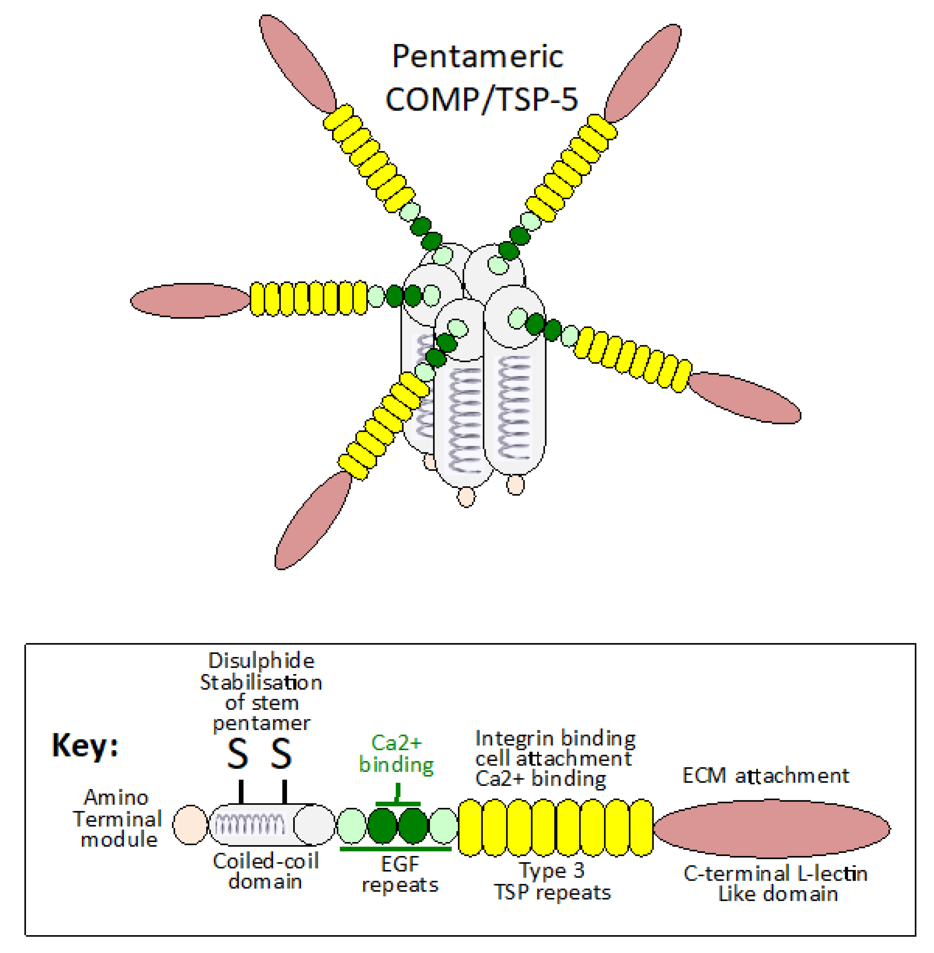 Ijms 26 09182 g001 Ijms 26 09182 g001