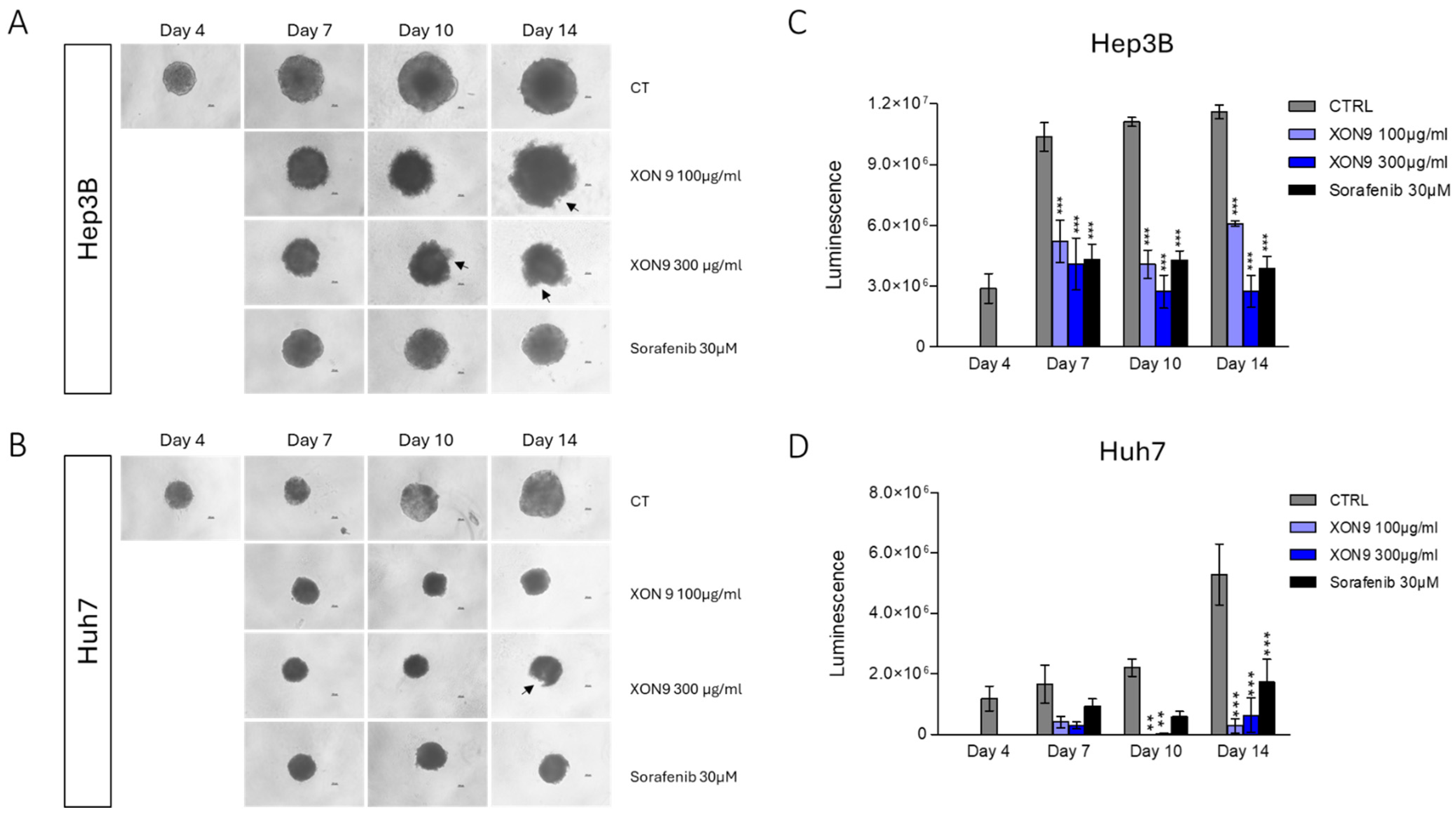 Ijms 26 09185 g004 Ijms 26 09185 g004