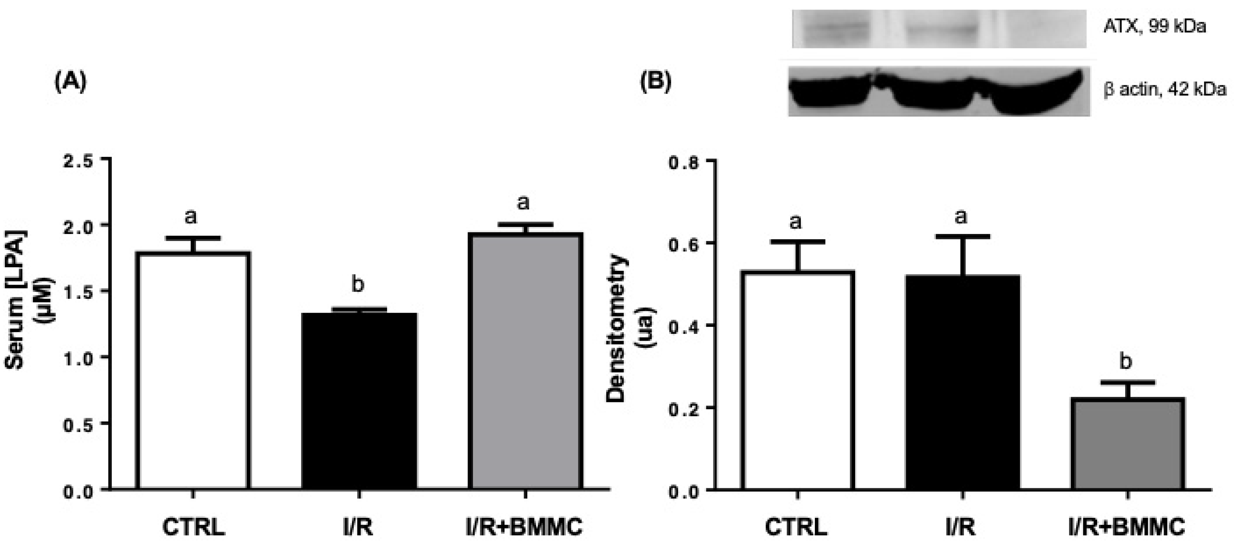 Ijms 26 09186 g001 Ijms 26 09186 g001