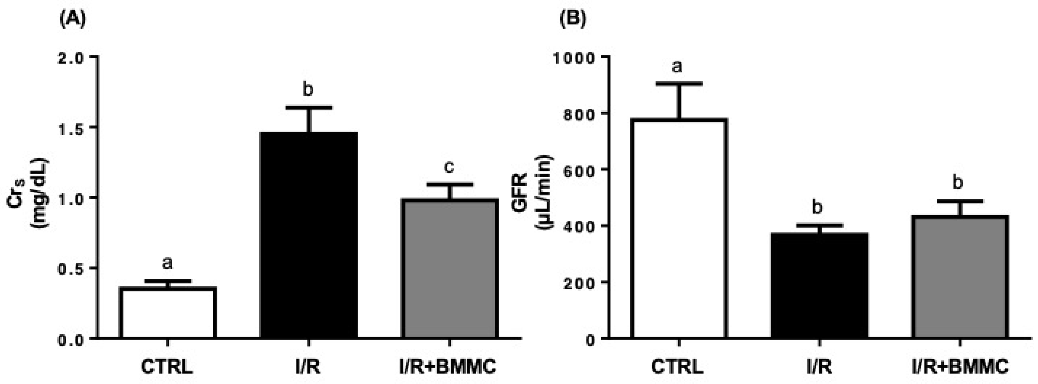 Ijms 26 09186 g003 Ijms 26 09186 g003