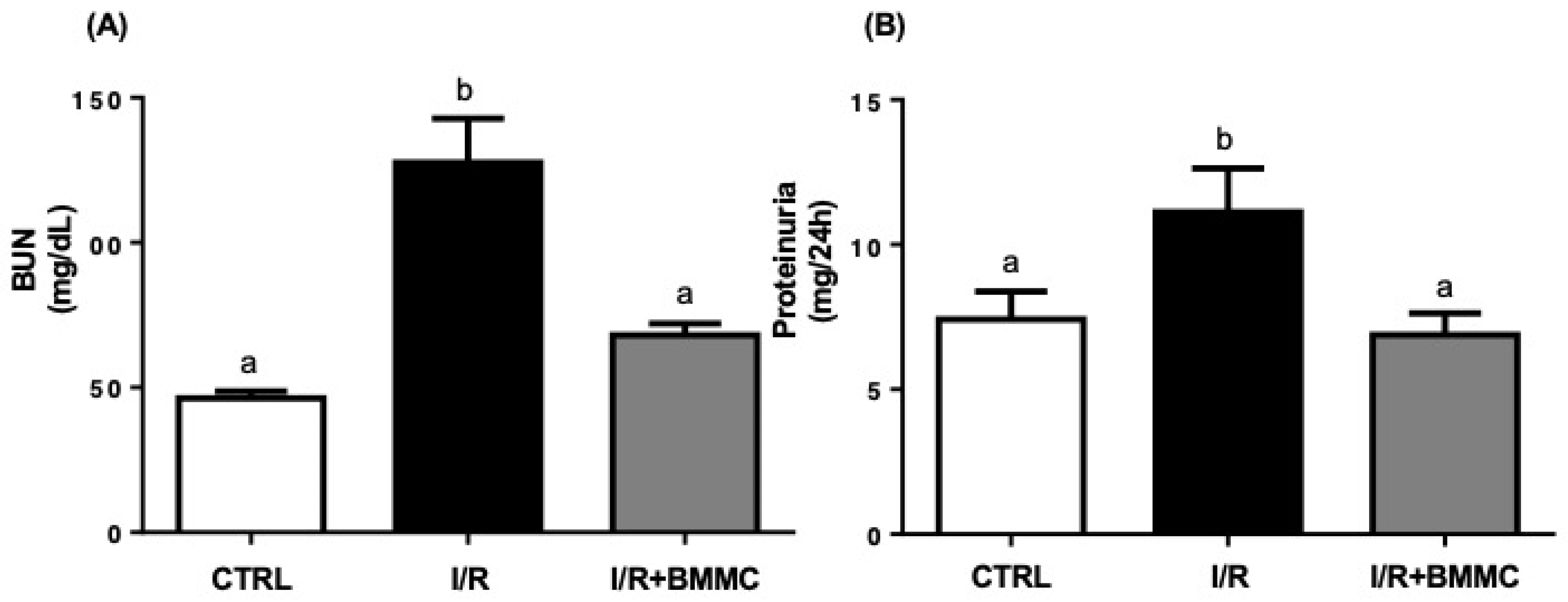 Ijms 26 09186 g004 Ijms 26 09186 g004