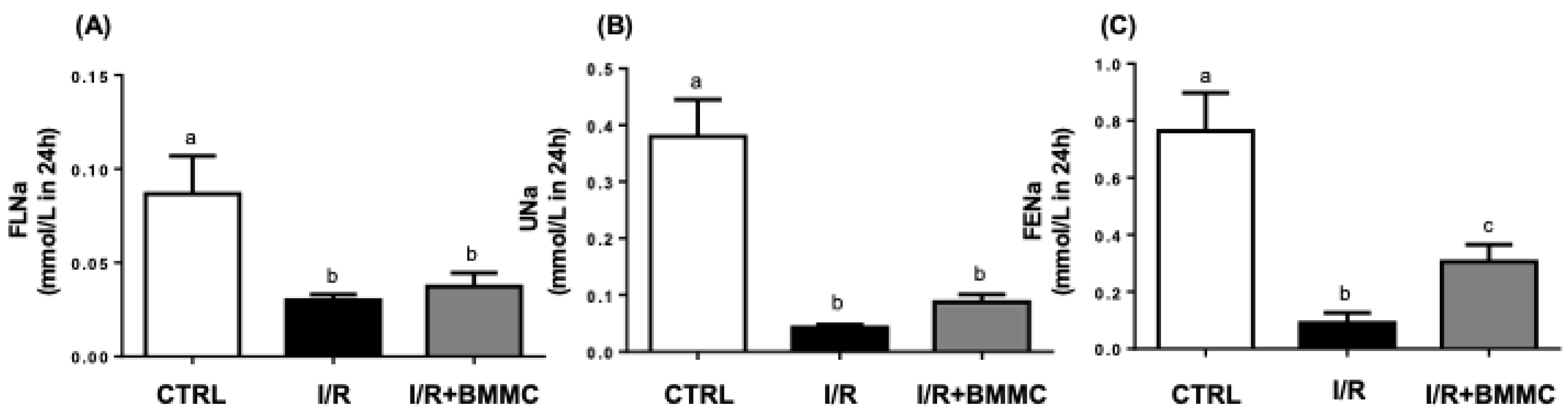 Ijms 26 09186 g006 Ijms 26 09186 g006