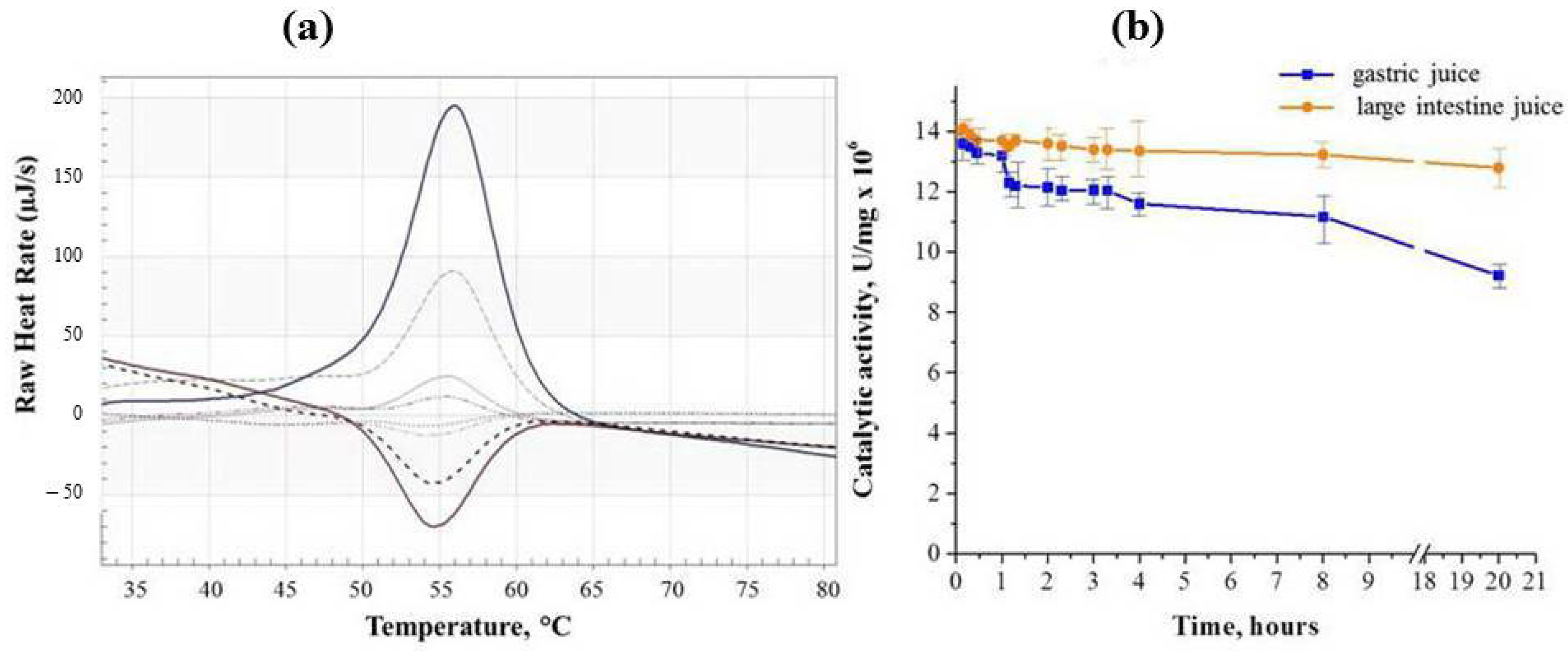 Ijms 26 09205 g001 Ijms 26 09205 g001