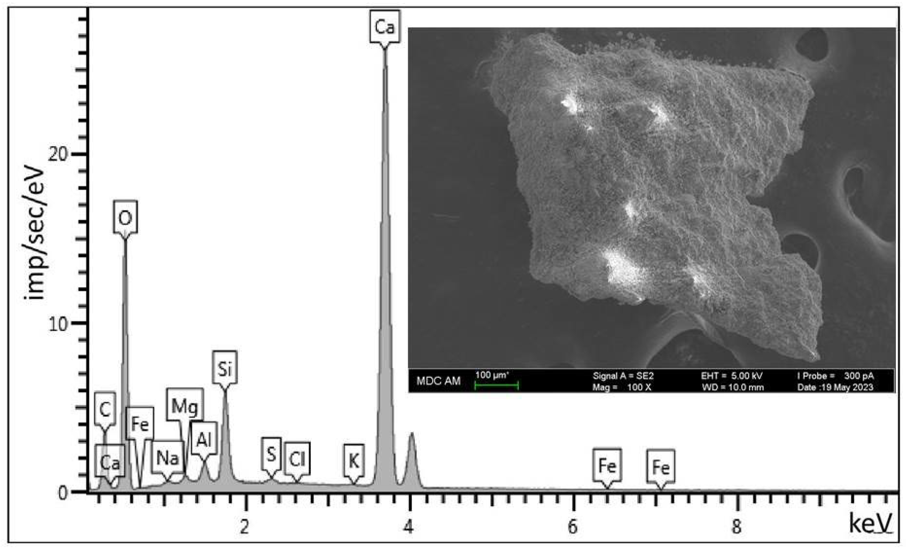 Ijms 26 09205 g004 Ijms 26 09205 g004