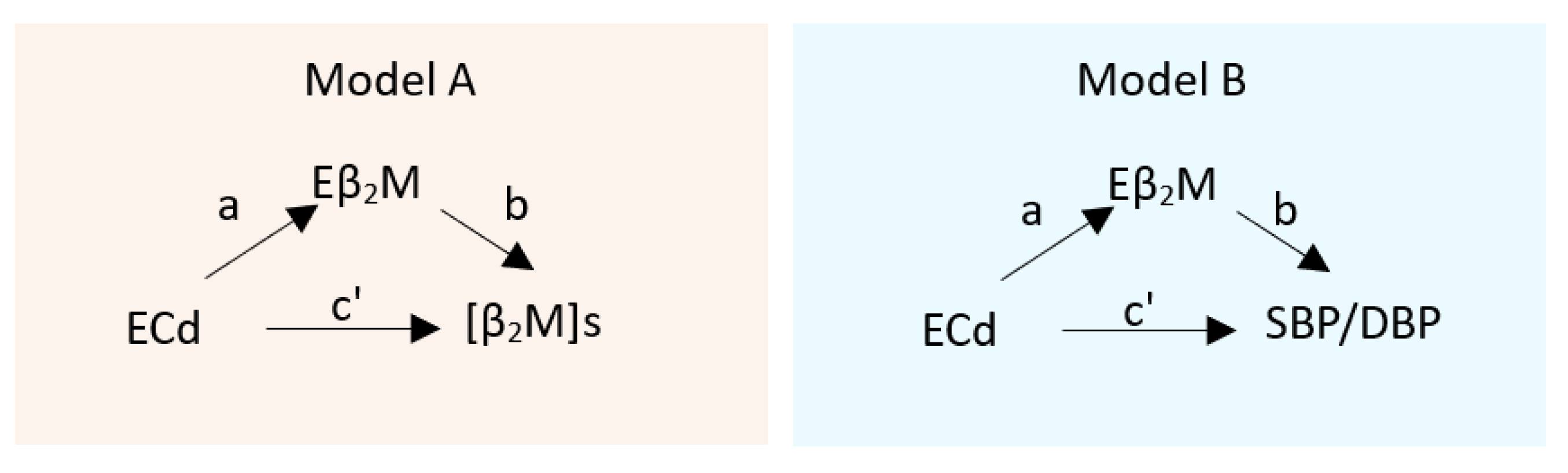 Ijms 26 09208 sch001 Ijms 26 09208 sch001