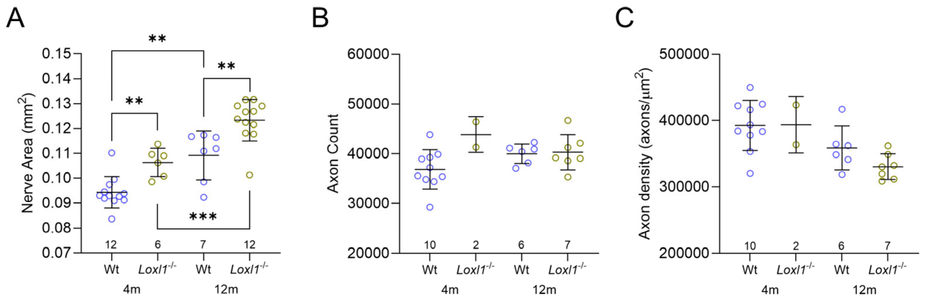 Ijms 26 09221 g001 Ijms 26 09221 g001