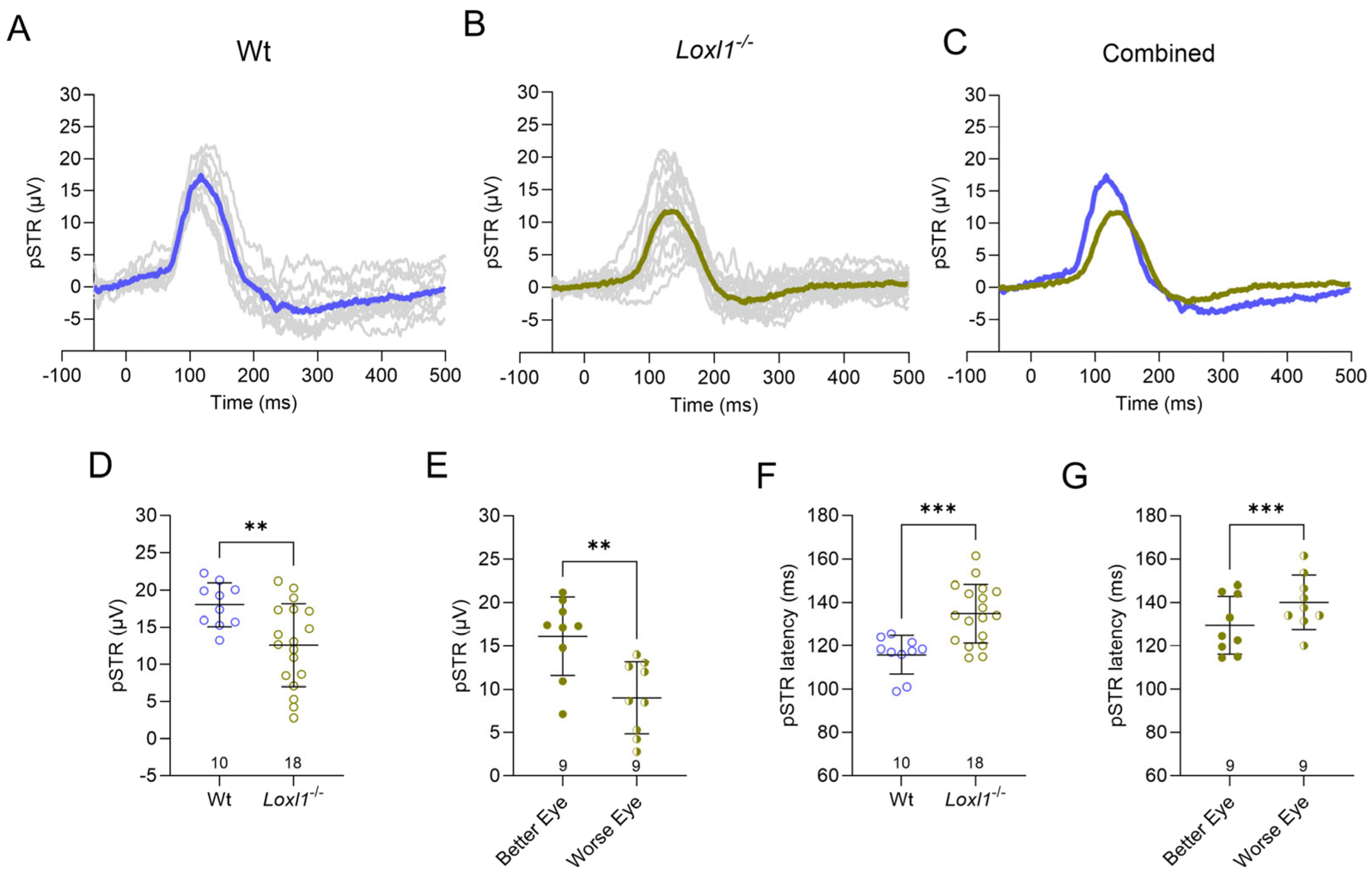 Ijms 26 09221 g002 Ijms 26 09221 g002