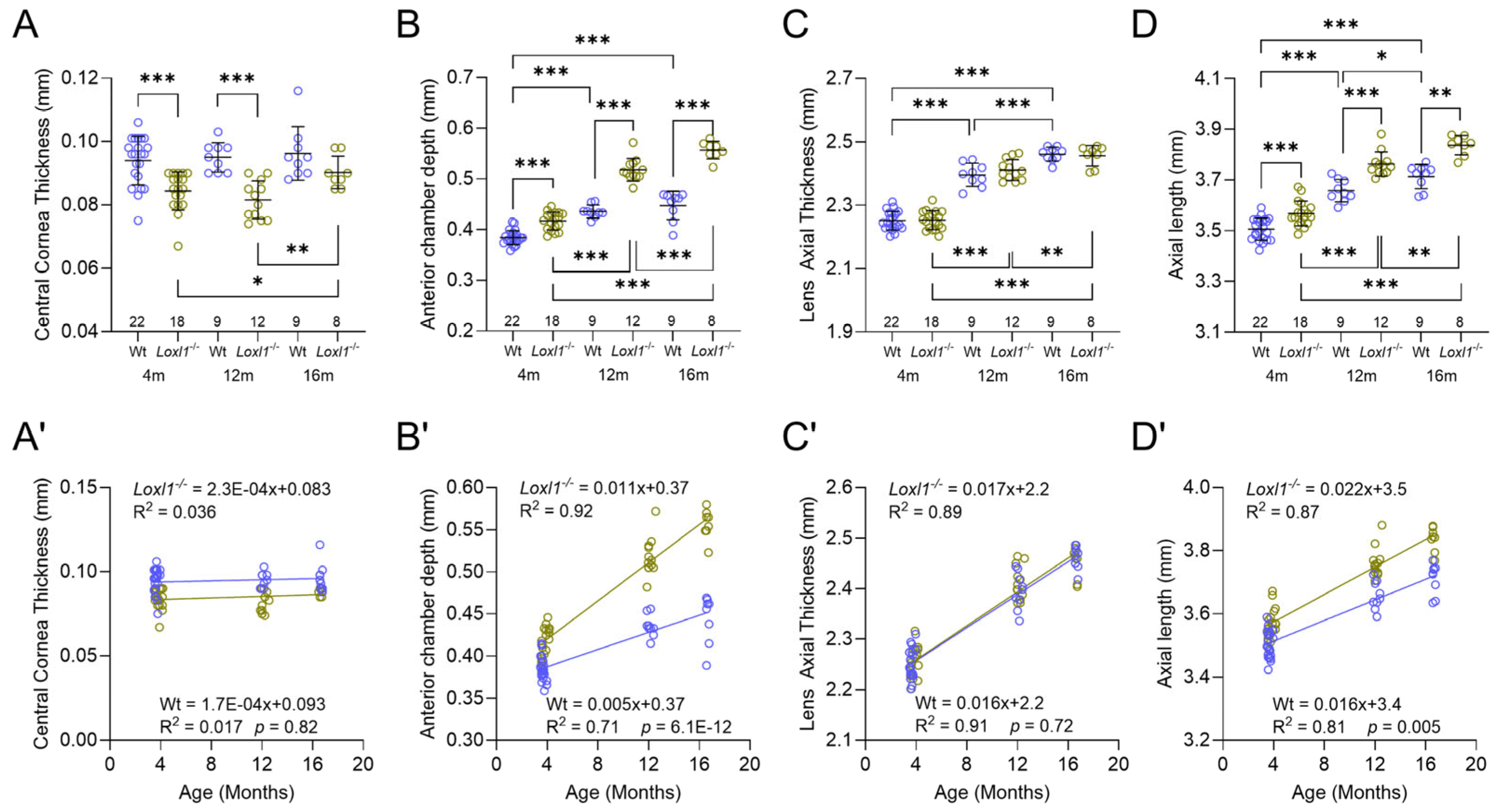 Ijms 26 09221 g004 Ijms 26 09221 g004