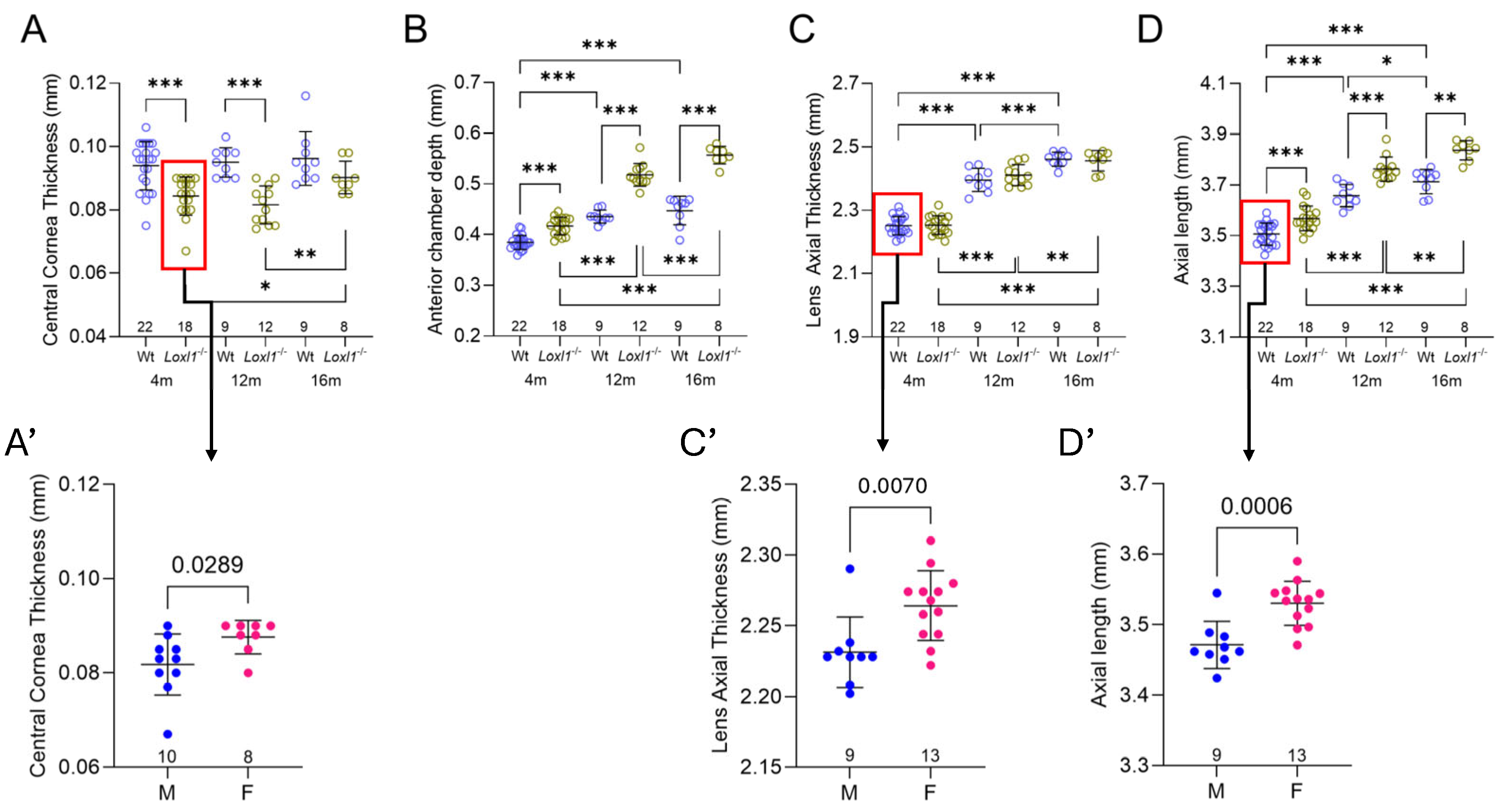 Ijms 26 09221 g005 Ijms 26 09221 g005