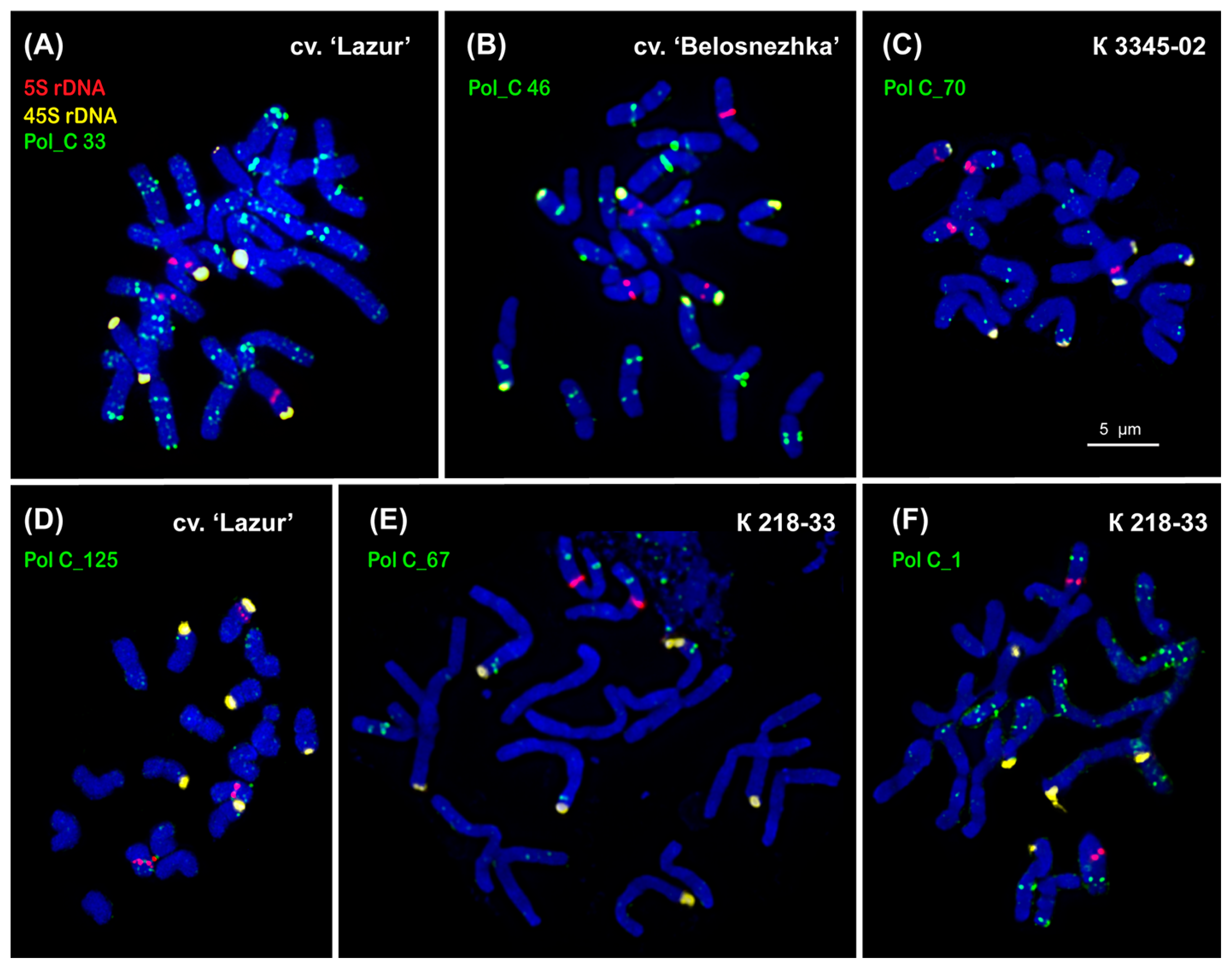 Ijms 26 09240 g003 Ijms 26 09240 g003
