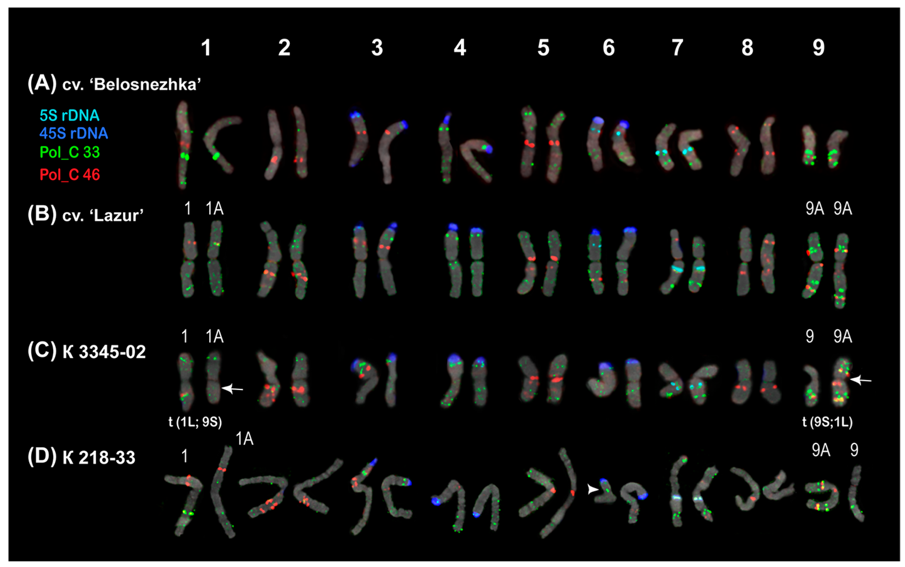 Ijms 26 09240 g005 Ijms 26 09240 g005