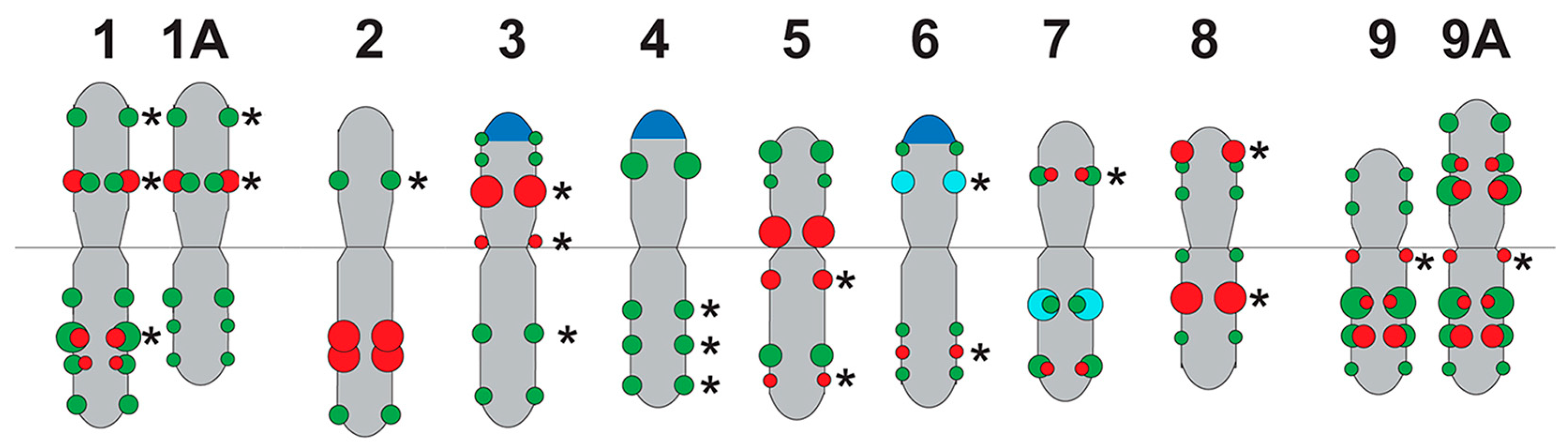 Ijms 26 09240 g006 Ijms 26 09240 g006