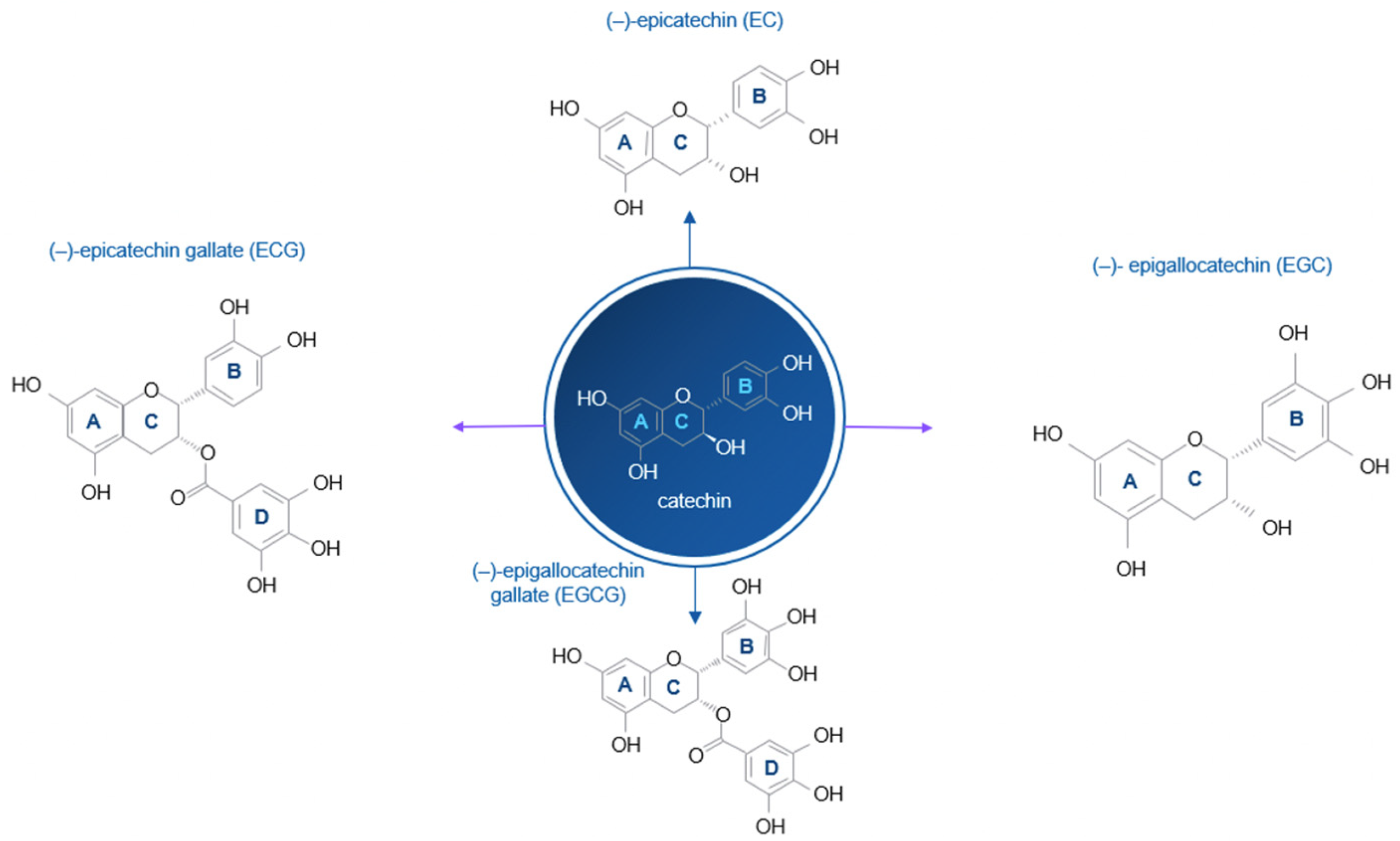 Ijms 26 09253 g001 Ijms 26 09253 g001