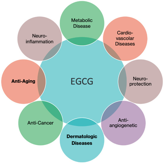 green tea extract richard bruno glutathione Epigallocatechin-Gallate (EGCG): An Essential Molecule for Human Health and  Well-Being