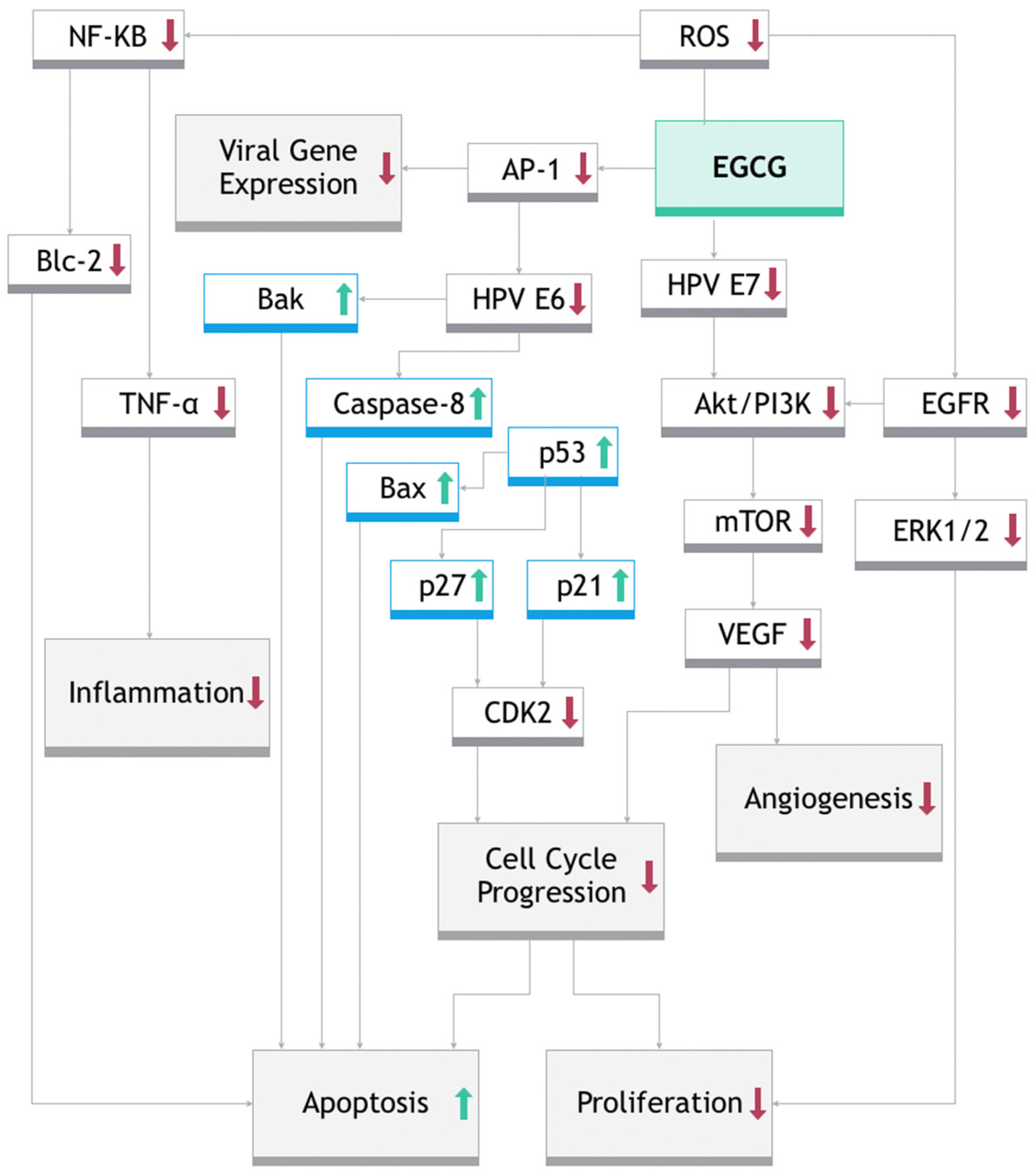 Ijms 26 09253 g003 Ijms 26 09253 g003